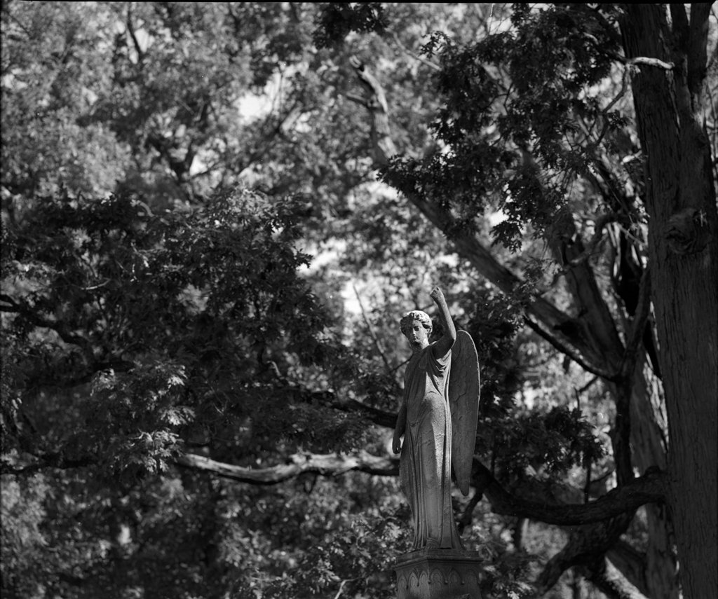 Mamiya RB67 Ilford PAN F 10172024_3.jpg