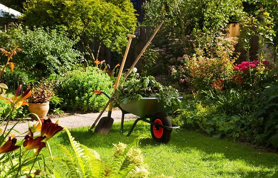 Garden-Waste-Removal1.jpg