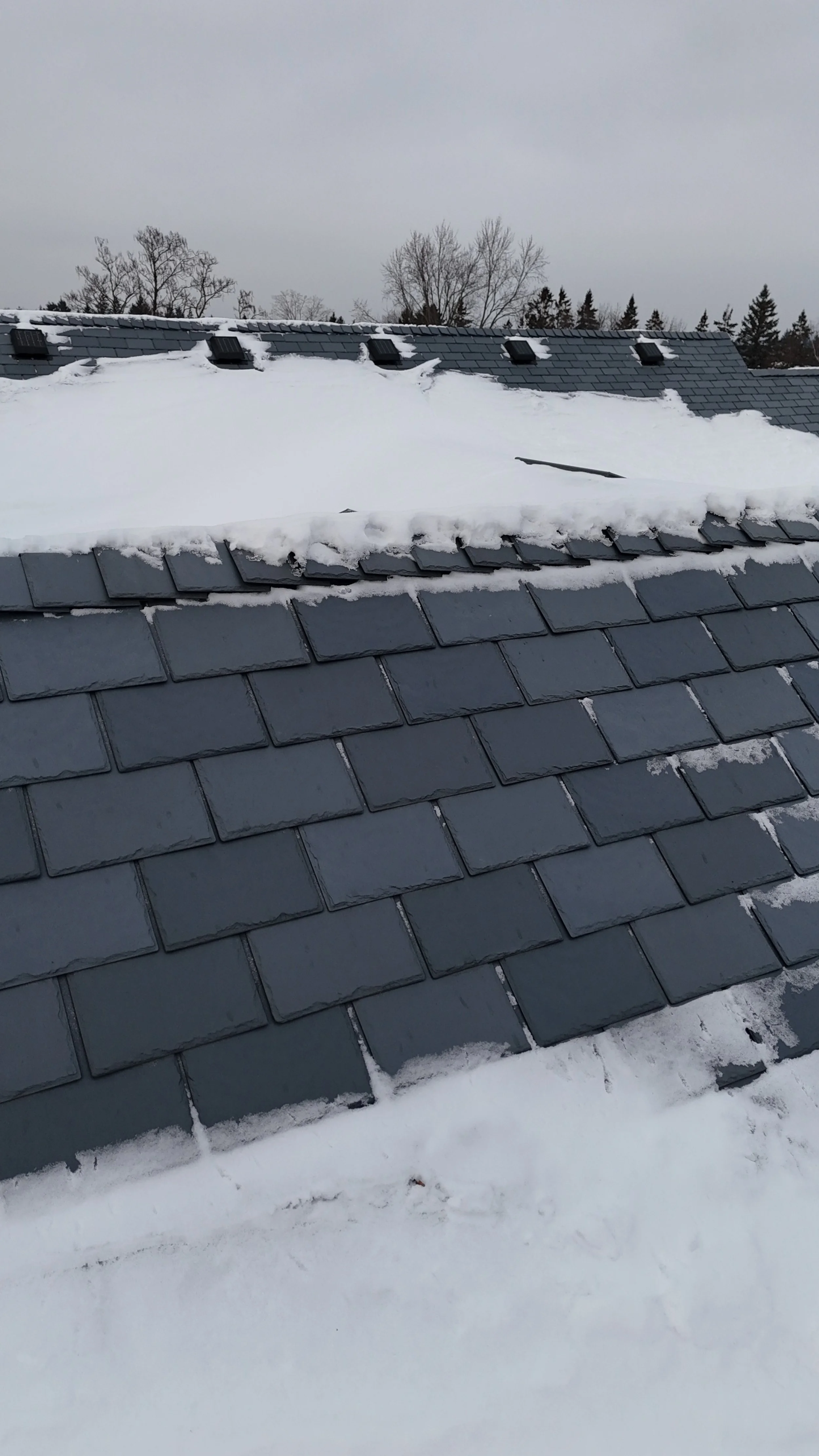 Snow-covered roof with black shingles and vents, overcast sky in the background.