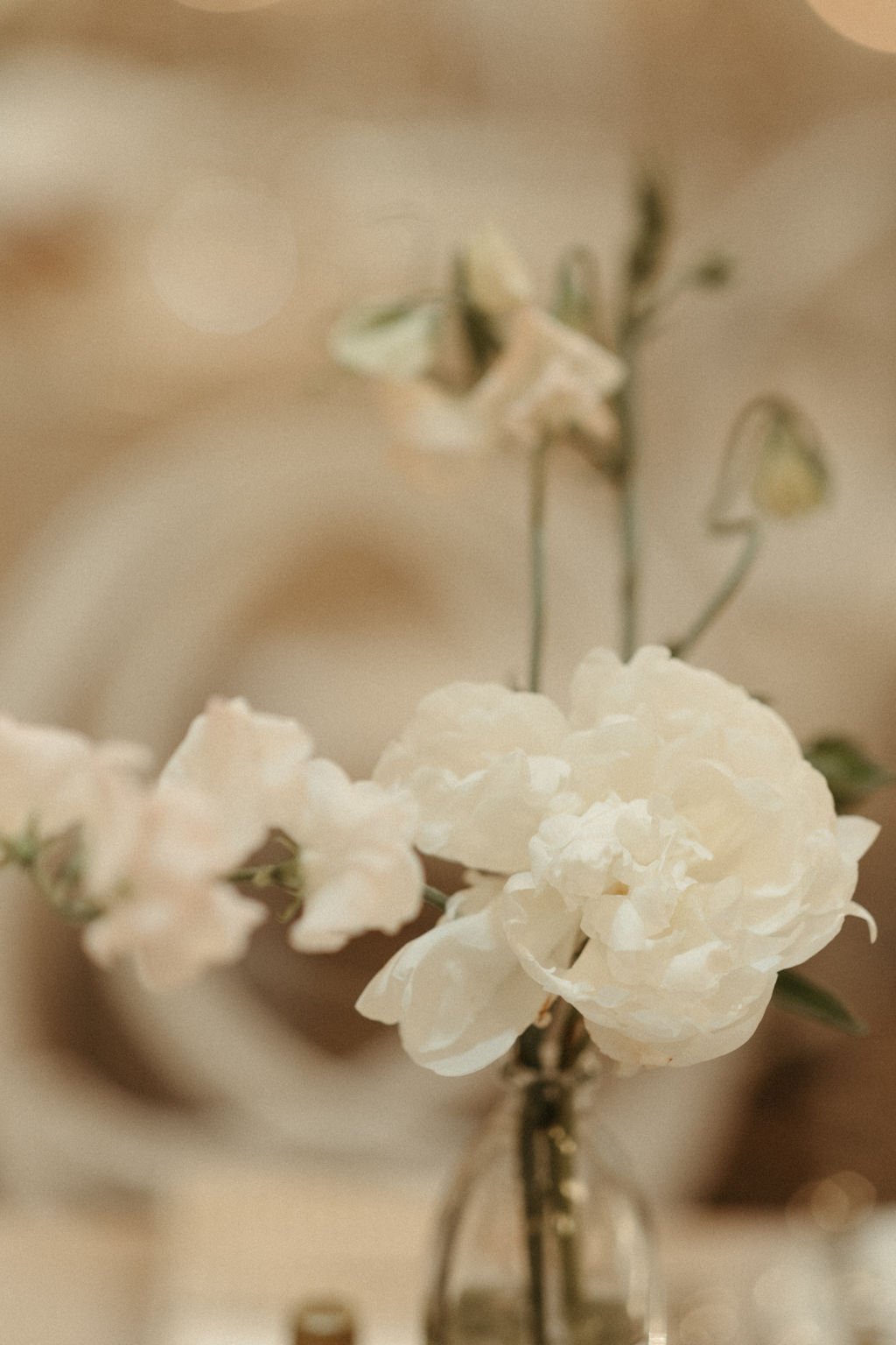 9C9A0510.jpg