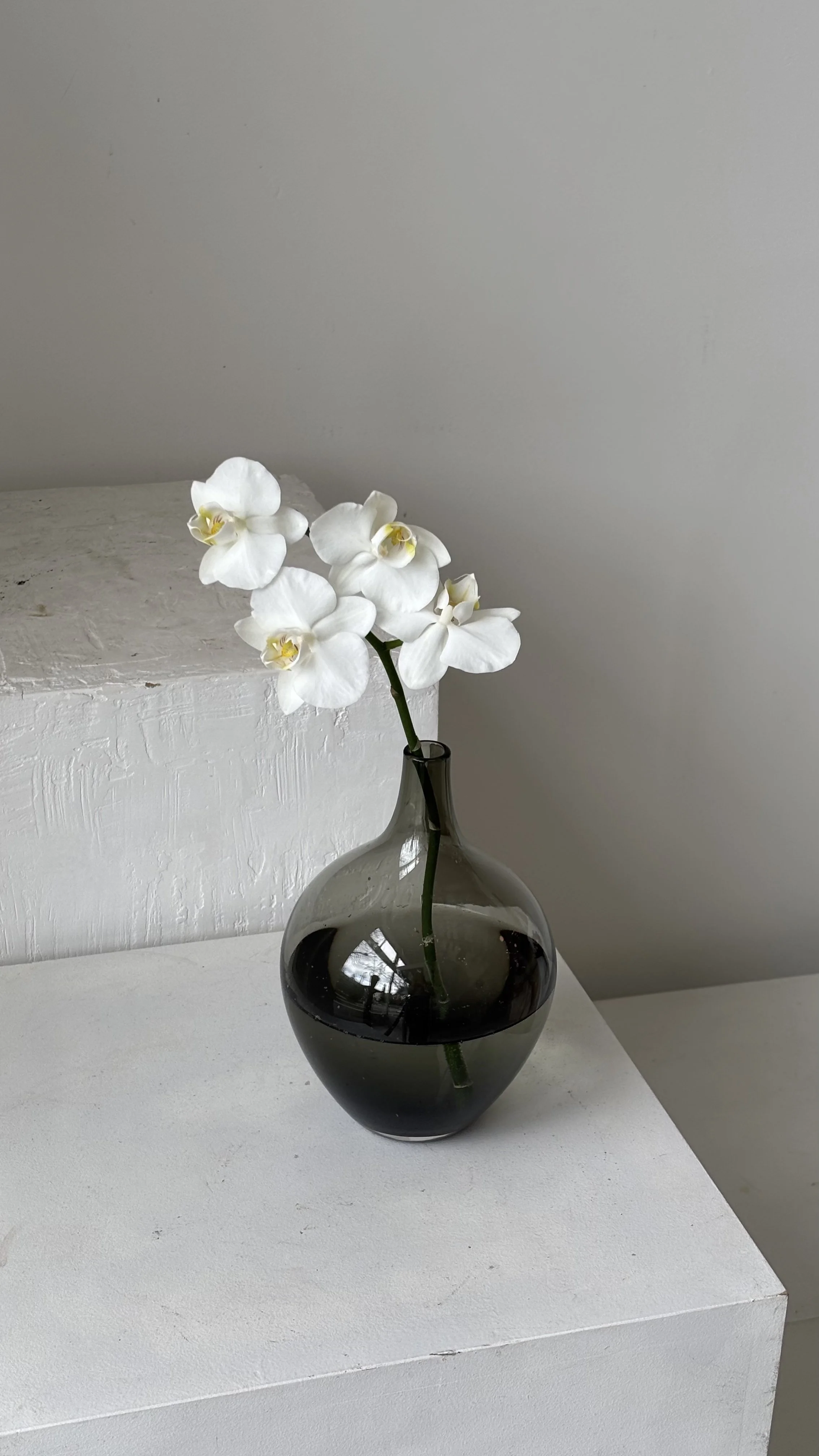 The Found Studio x Folklore MCM Smoked Vase