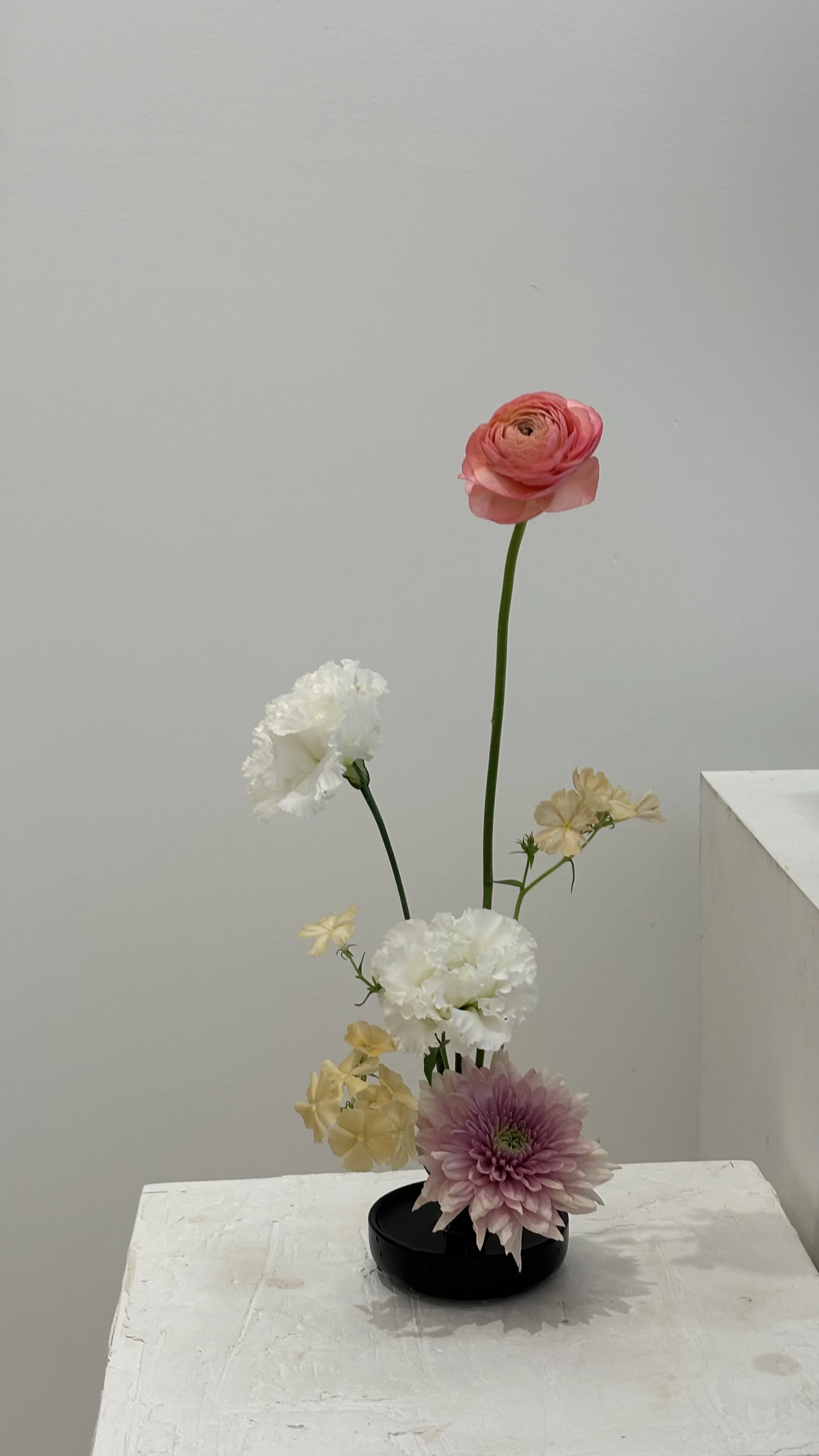 Deluxe flower frog- Folklore.jpg