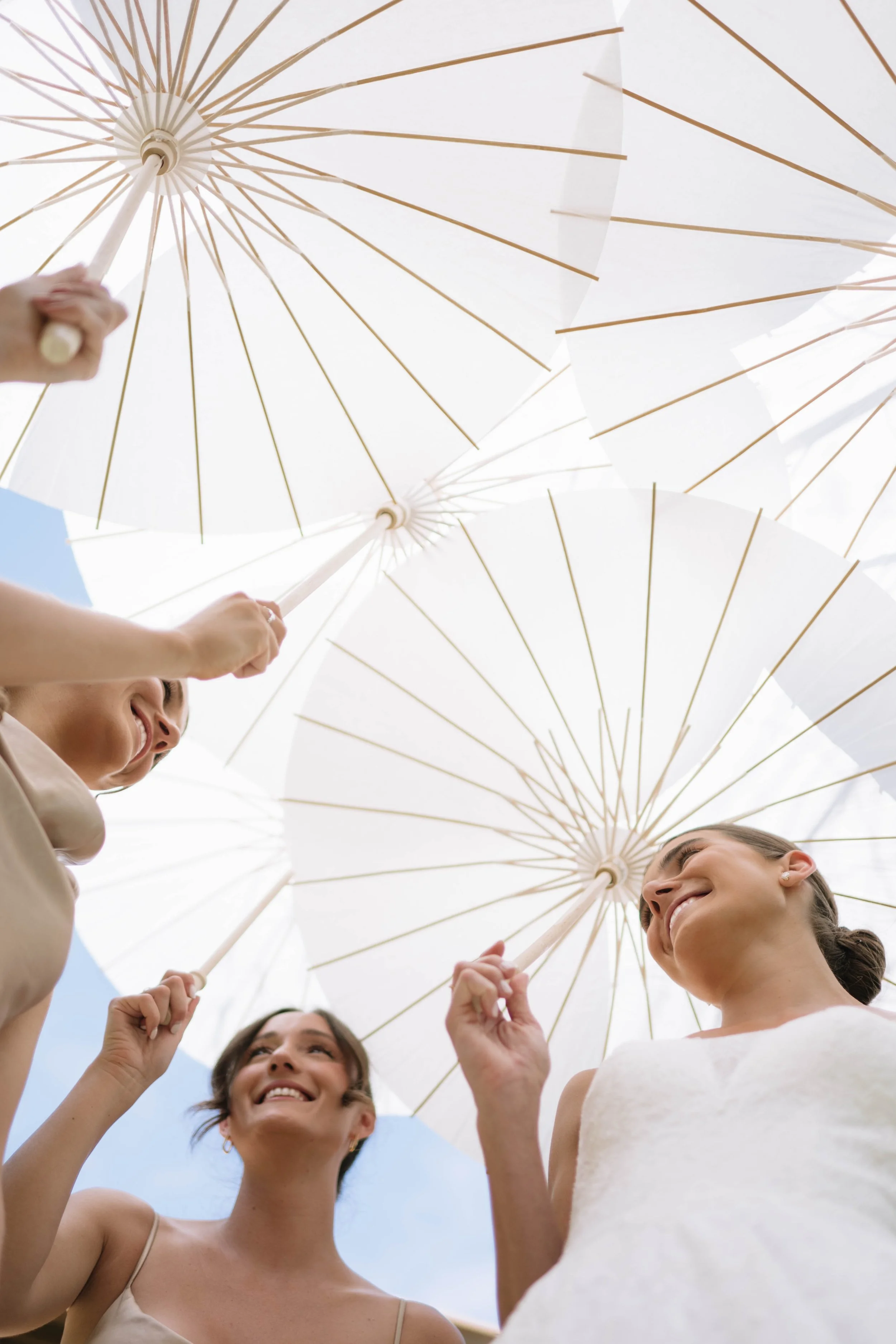 Wedding portrait of bride and bridesmaids at Ethereal Gardens in Escondido with soft natural light by Jennifer Noelle