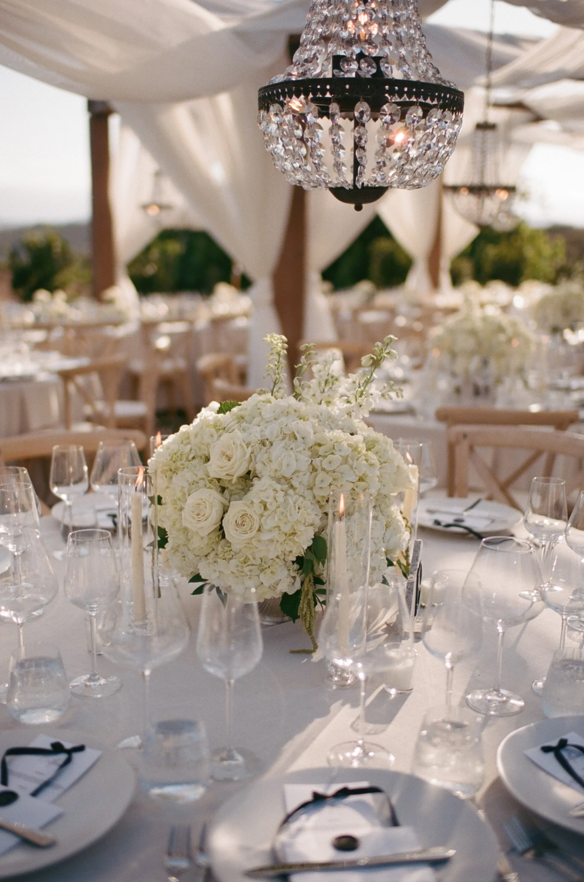 Wedding reception table details at Jeune Perché with florals, place settings, and menus