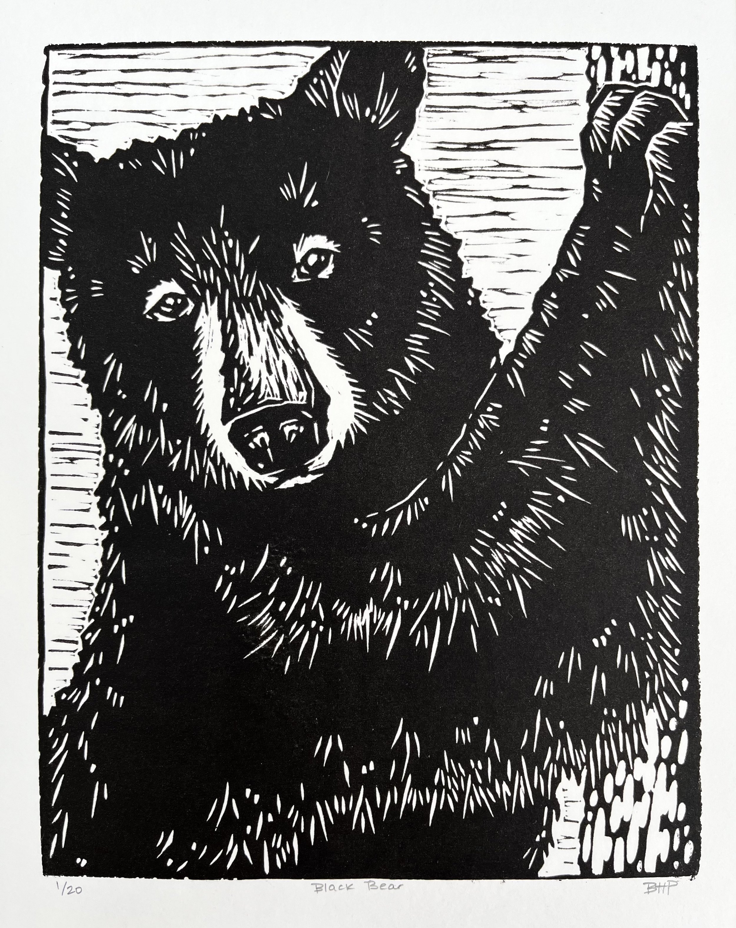 Harris, Breonna_Black Bear..jpeg