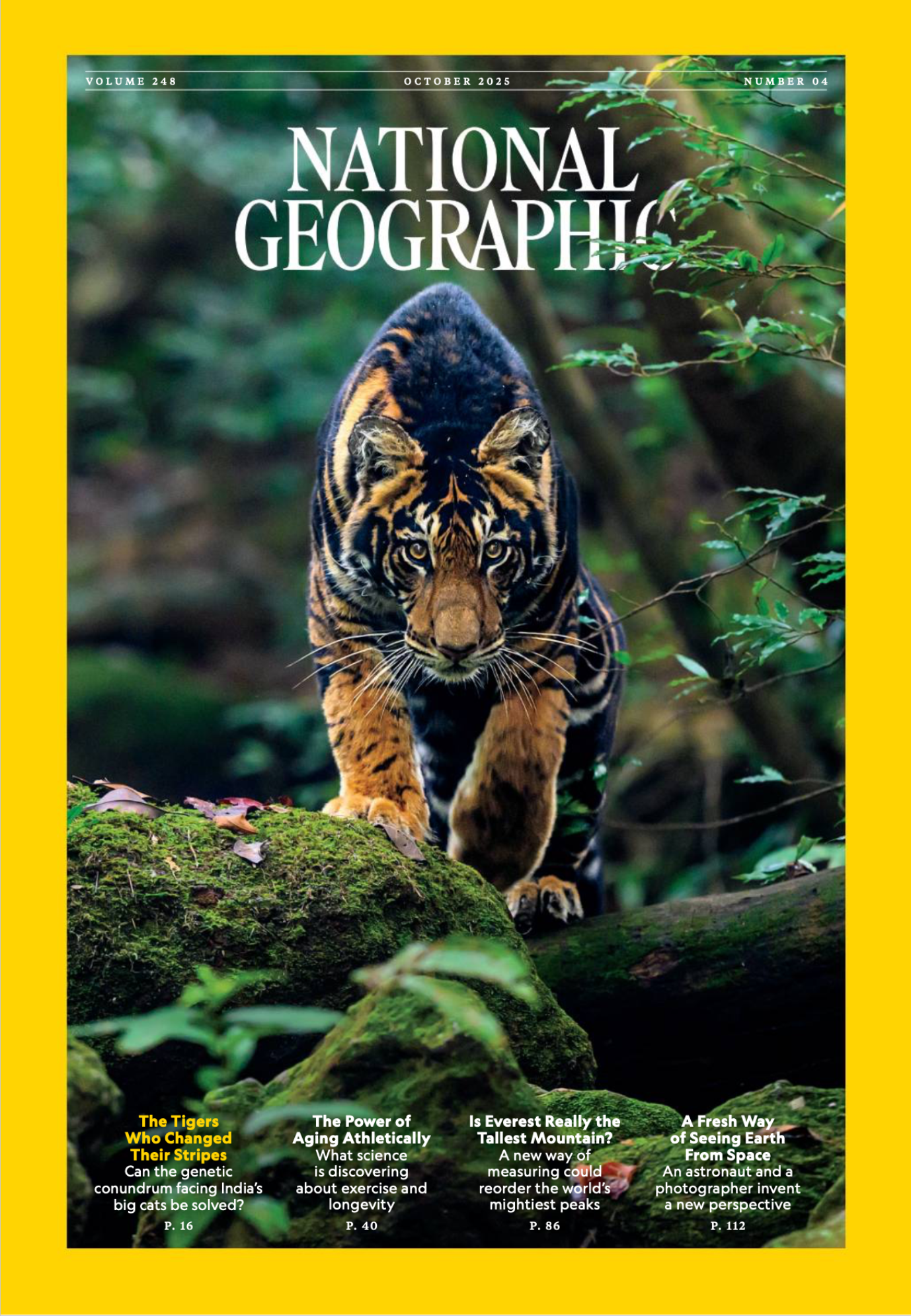 Oct 2025 NGM Tallest Mountain.png