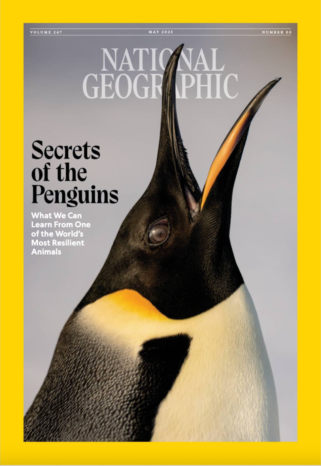 May 2025 NGM Secrets of Penguins.png