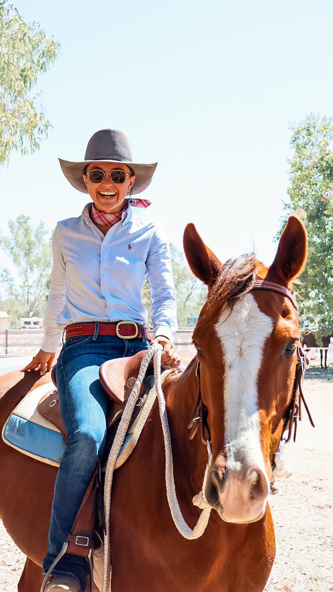 WHISKEY REINS