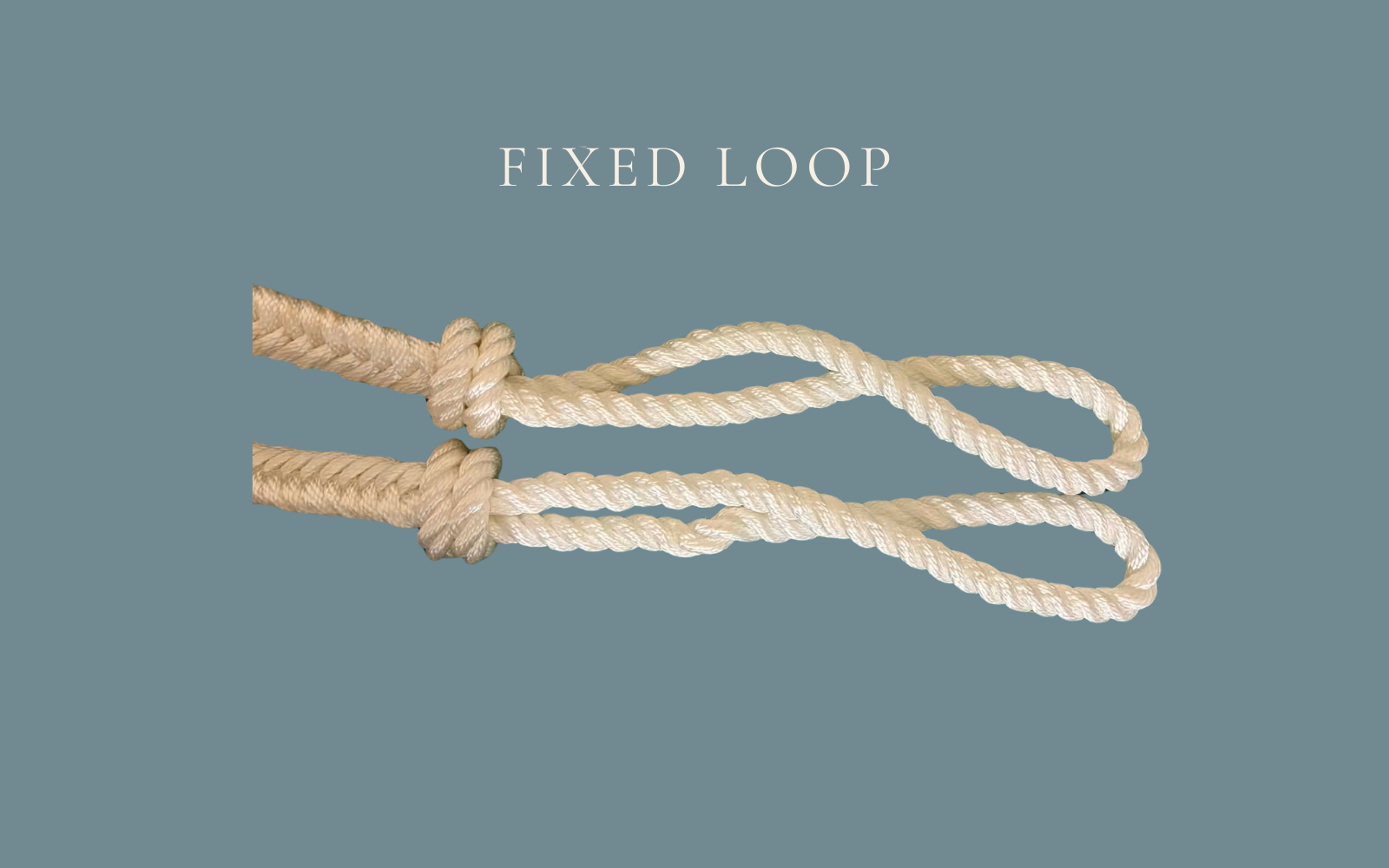 FIXED LOOP (1).png