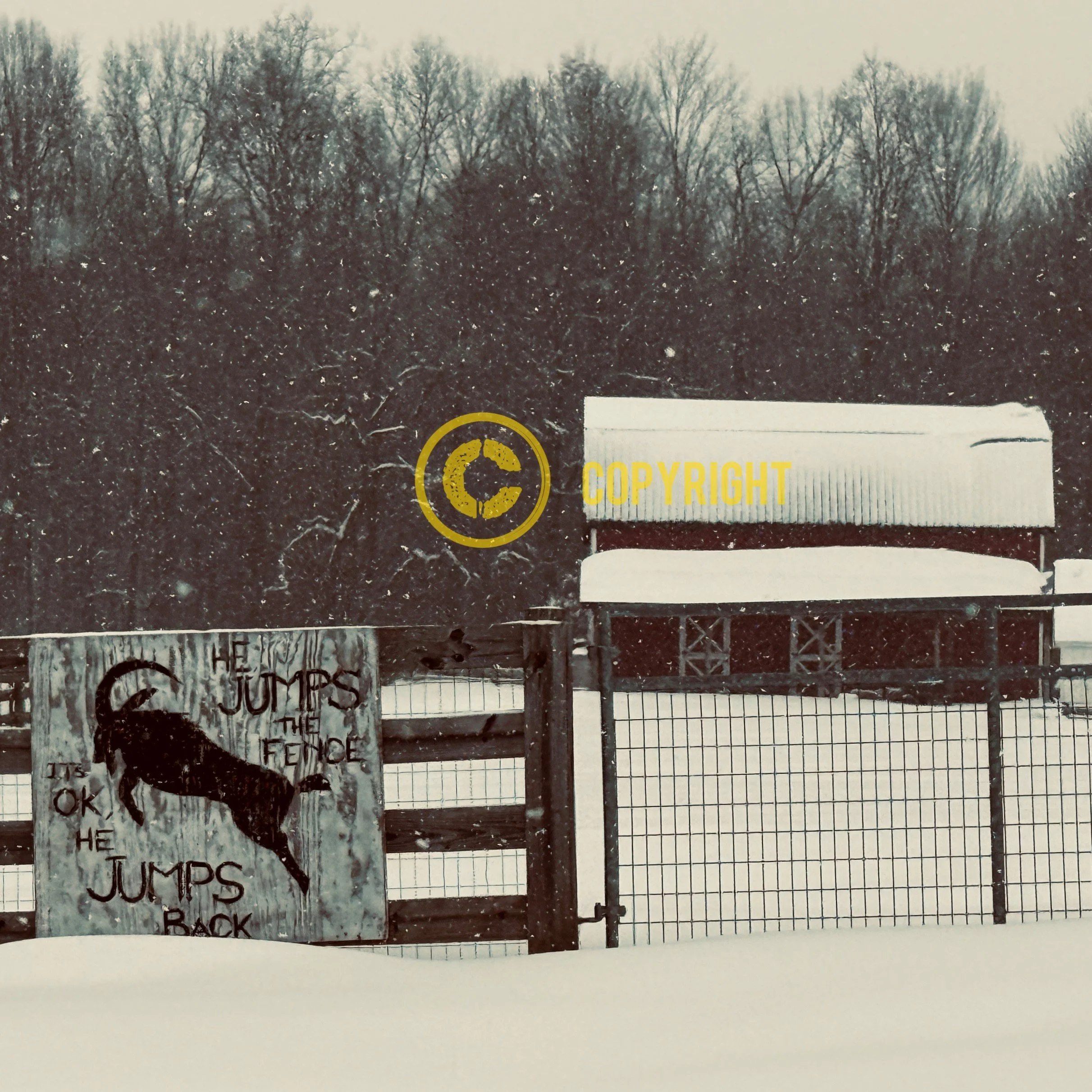 Knox County - "Fence Jumper"