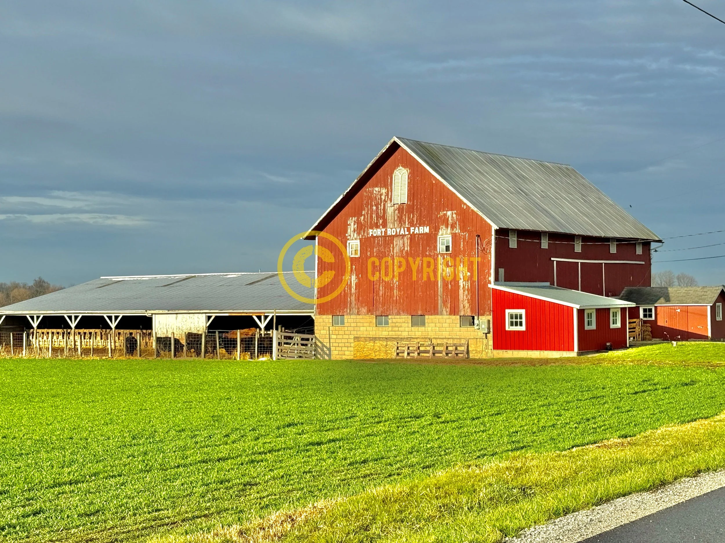 IMG_5213 1_Watermarked.jpg