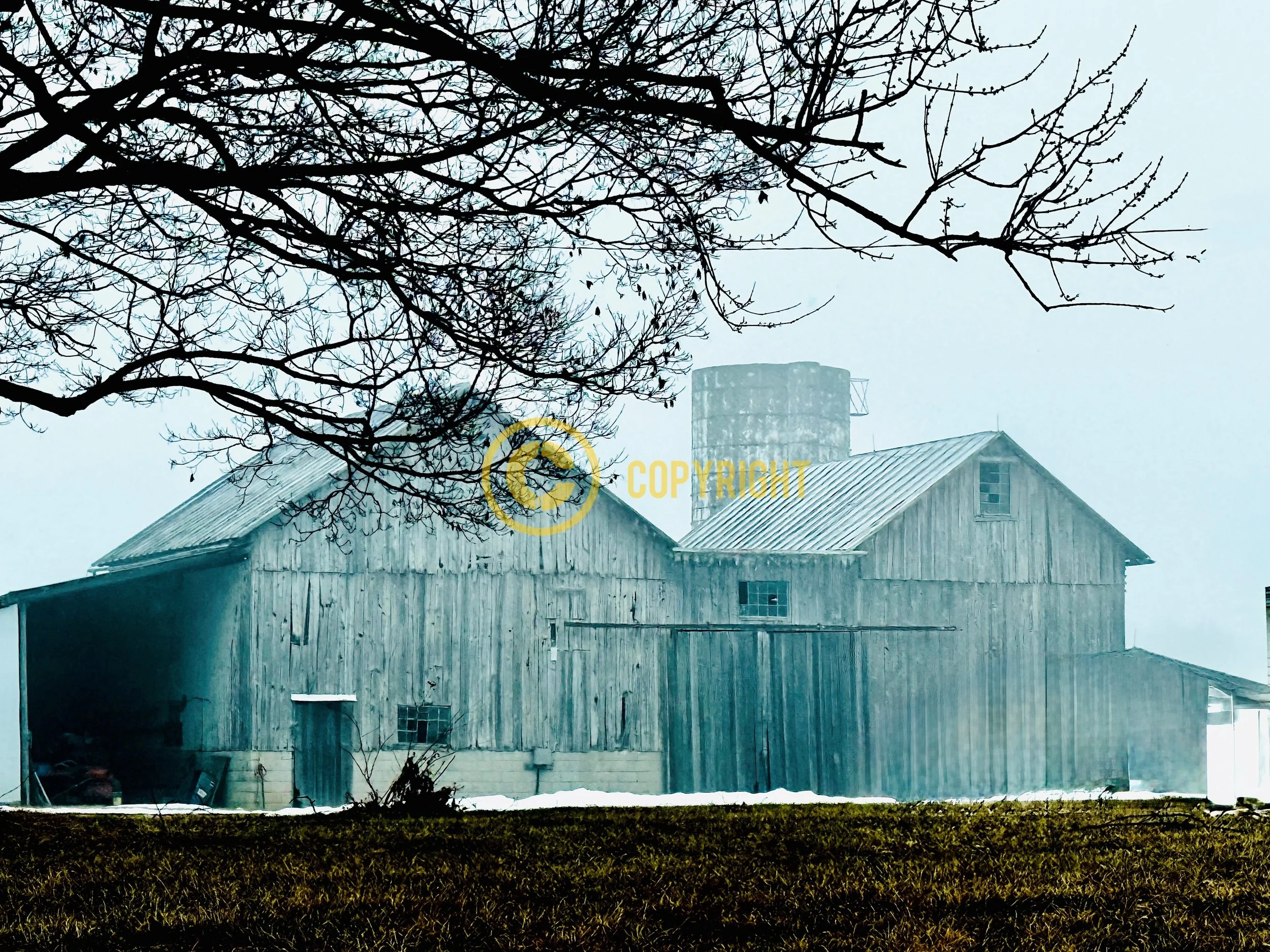 Morrow County - "Double Take"