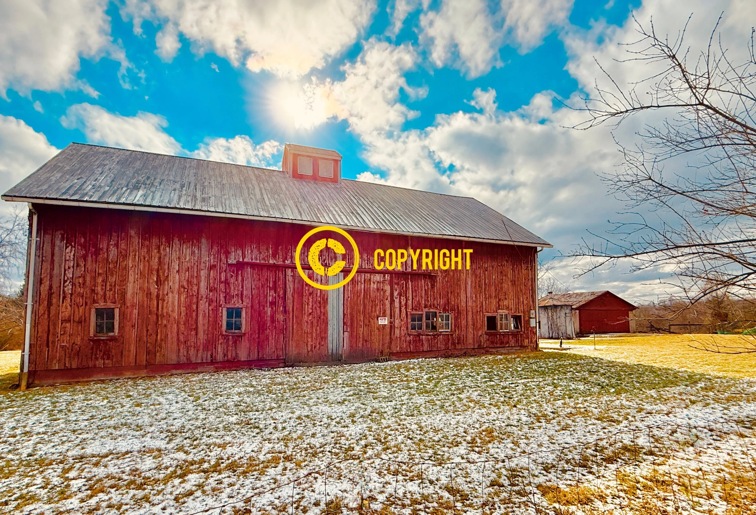 IMG_4595_Watermarked (2).jpg