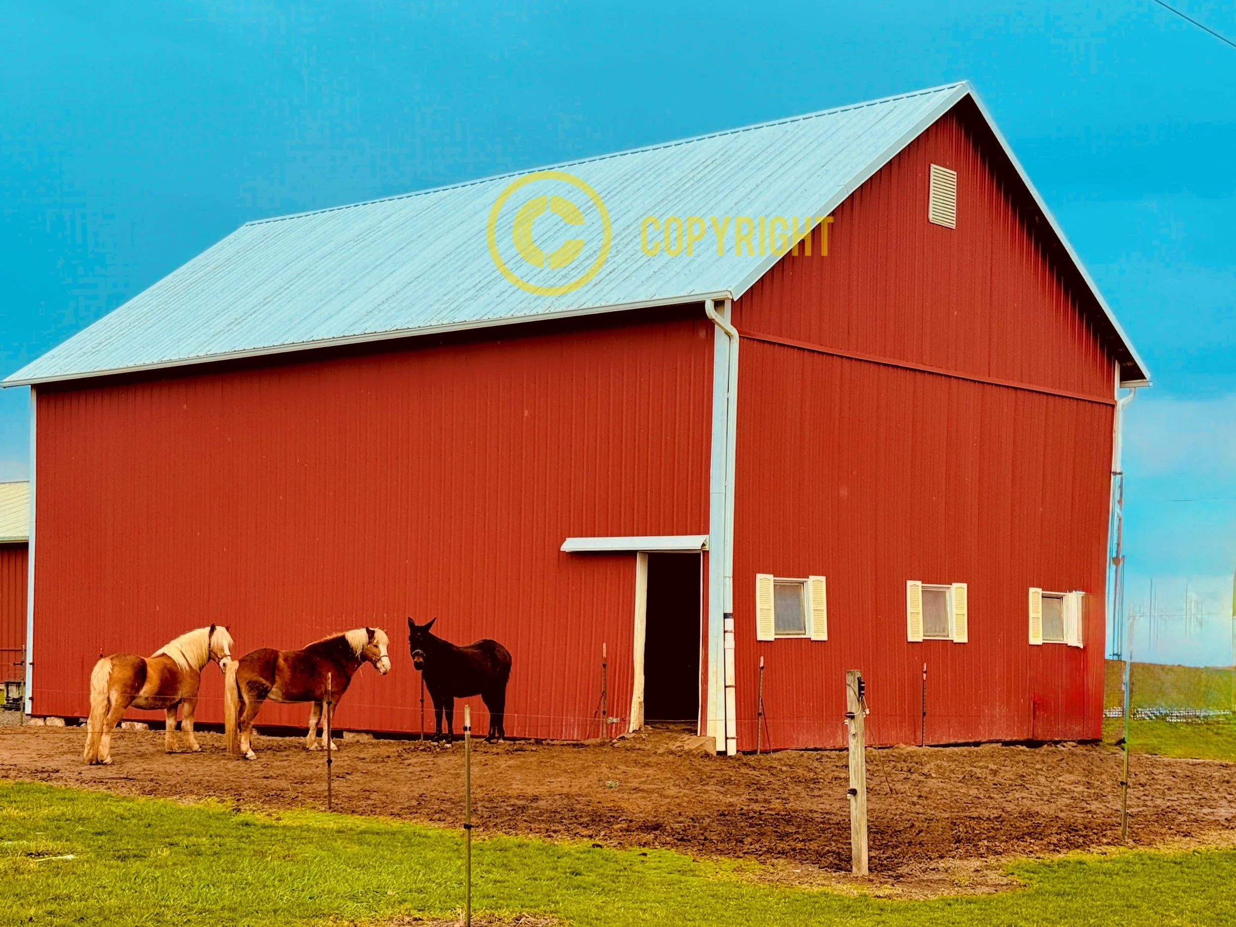 IMG_5214 1_Watermarked.jpg