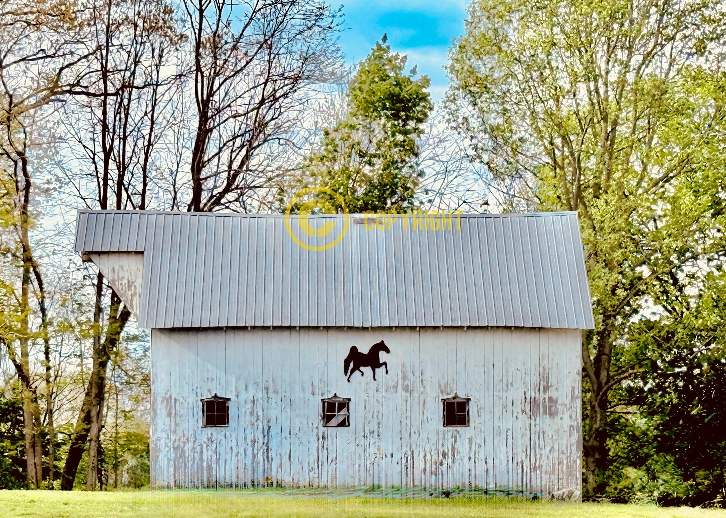 Knox County