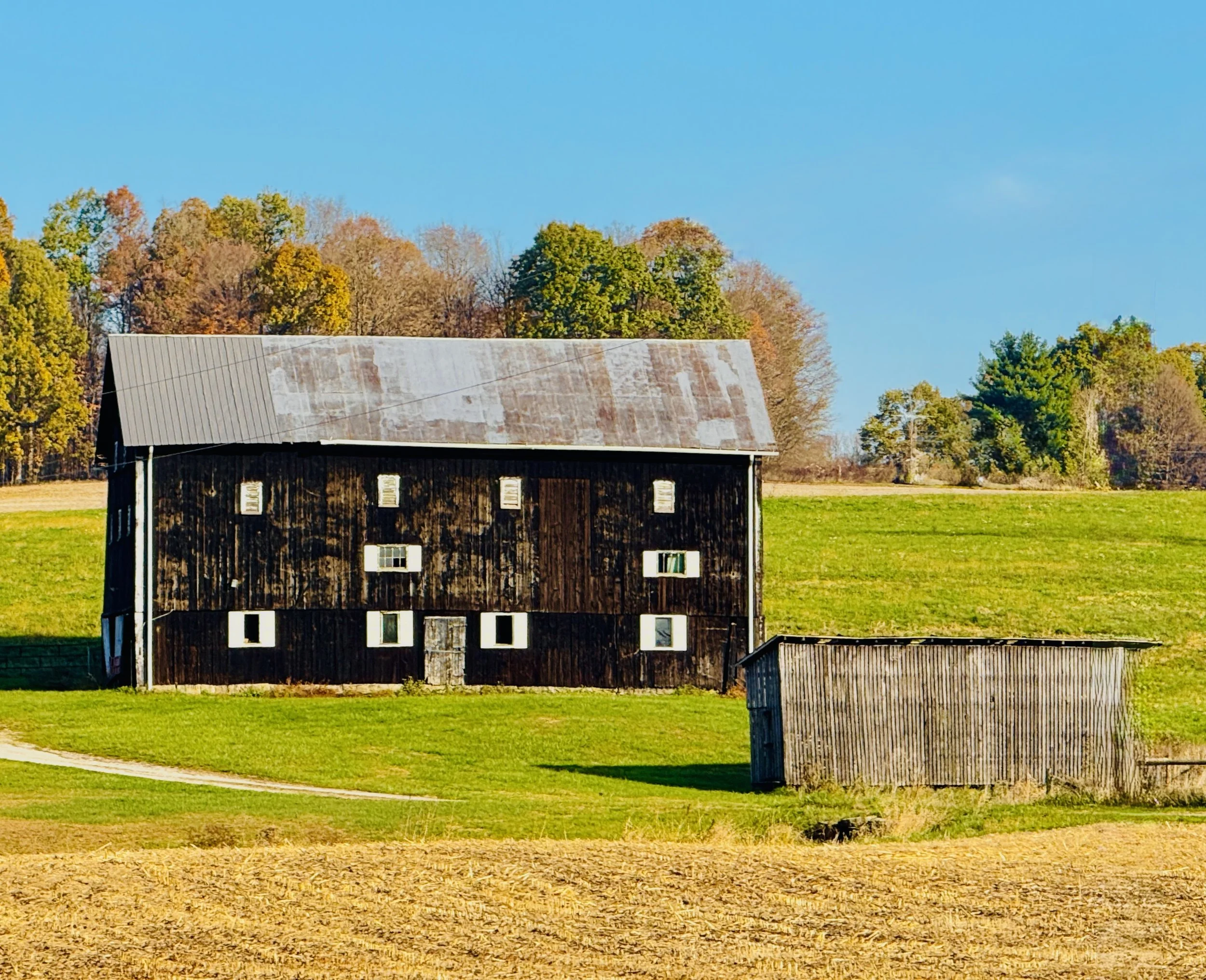 Knox County - “Black Beauty”