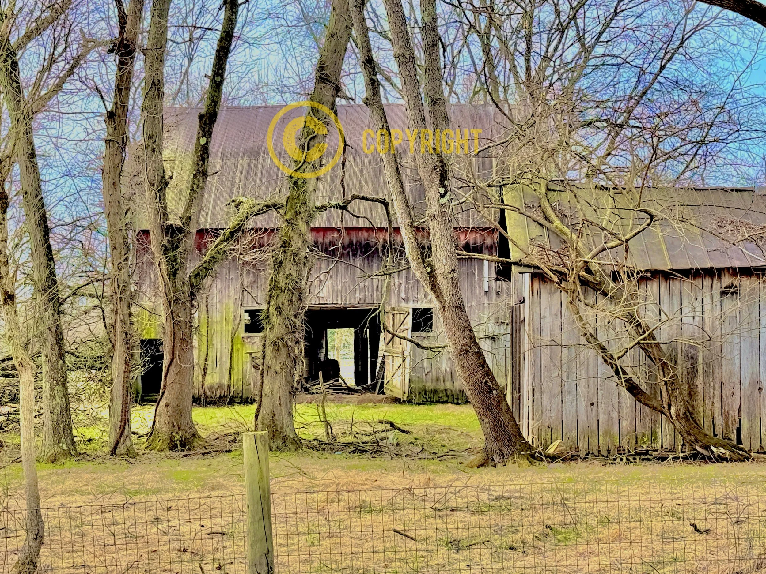 IMG_5233 3_Watermarked.jpg