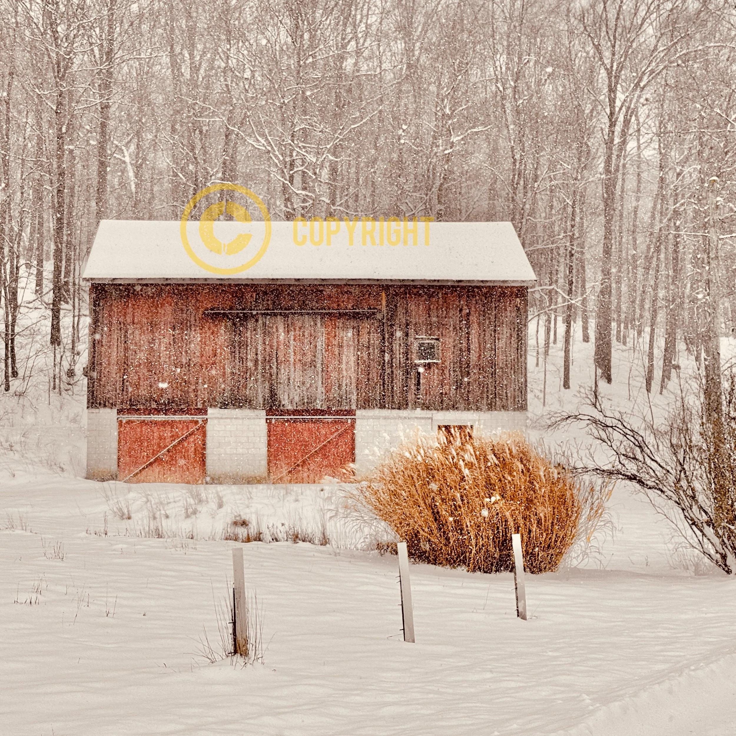 Richland County - "Snow Trails Barn"