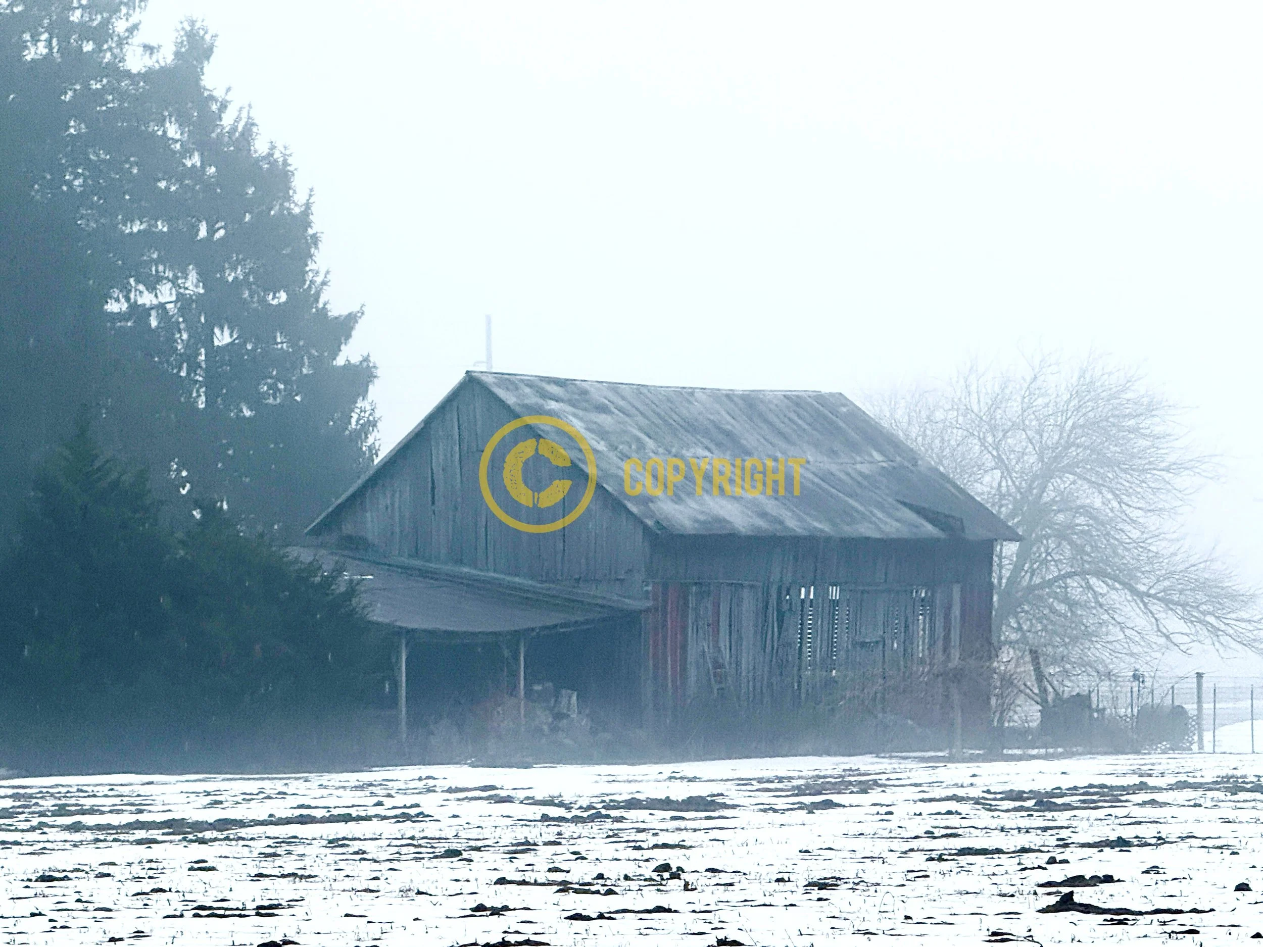 Morrow County - "A Foggy Roost"