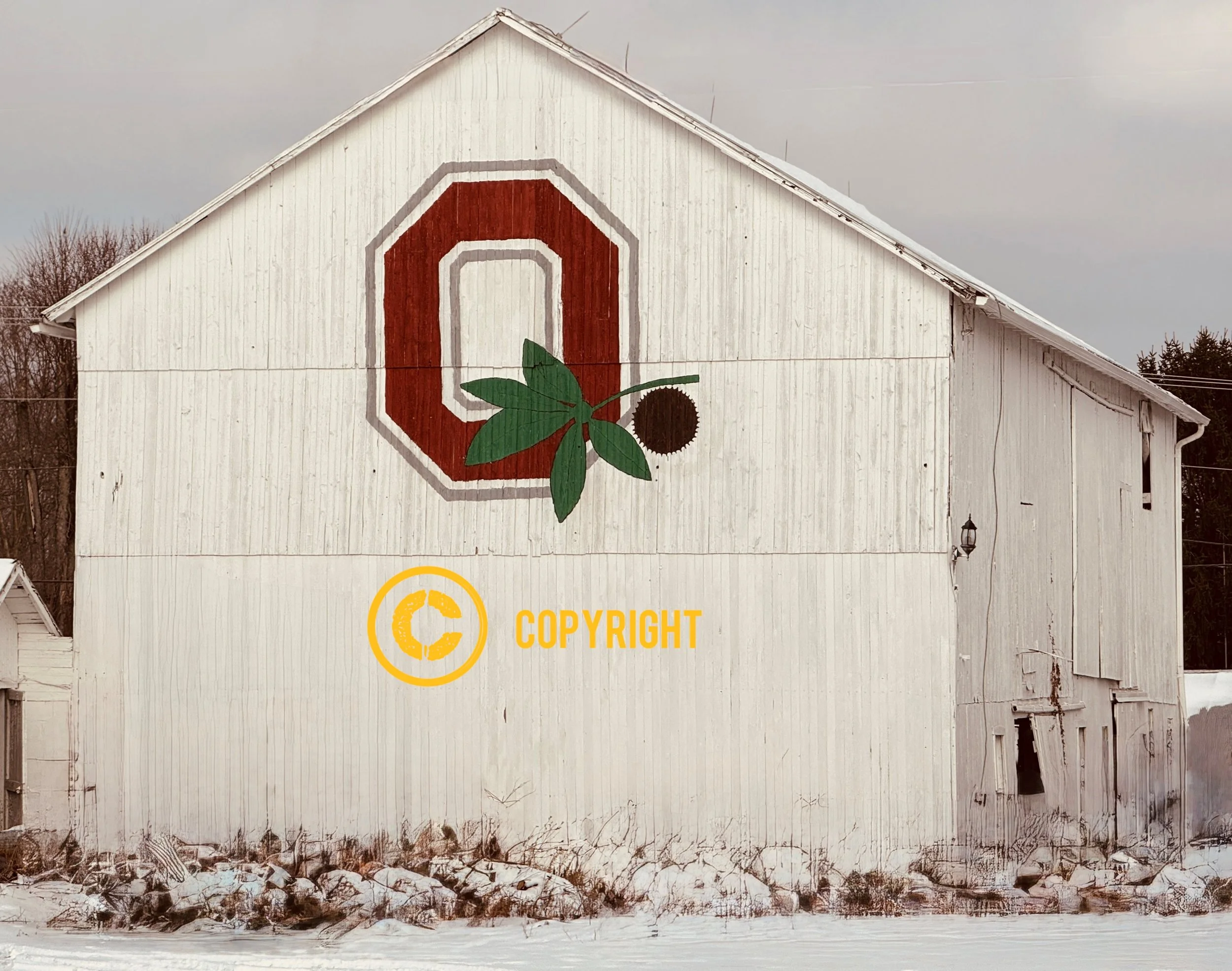 Holmes County - “Buckeye Pride”