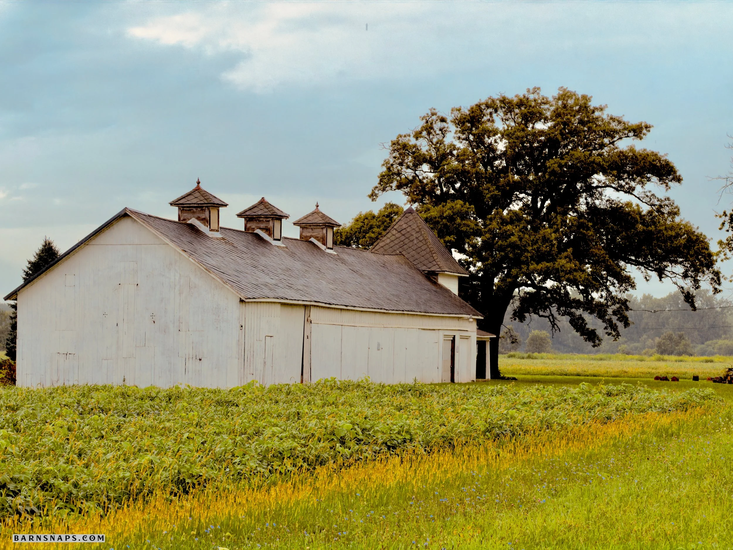 Wood County - E. Broadway Barn