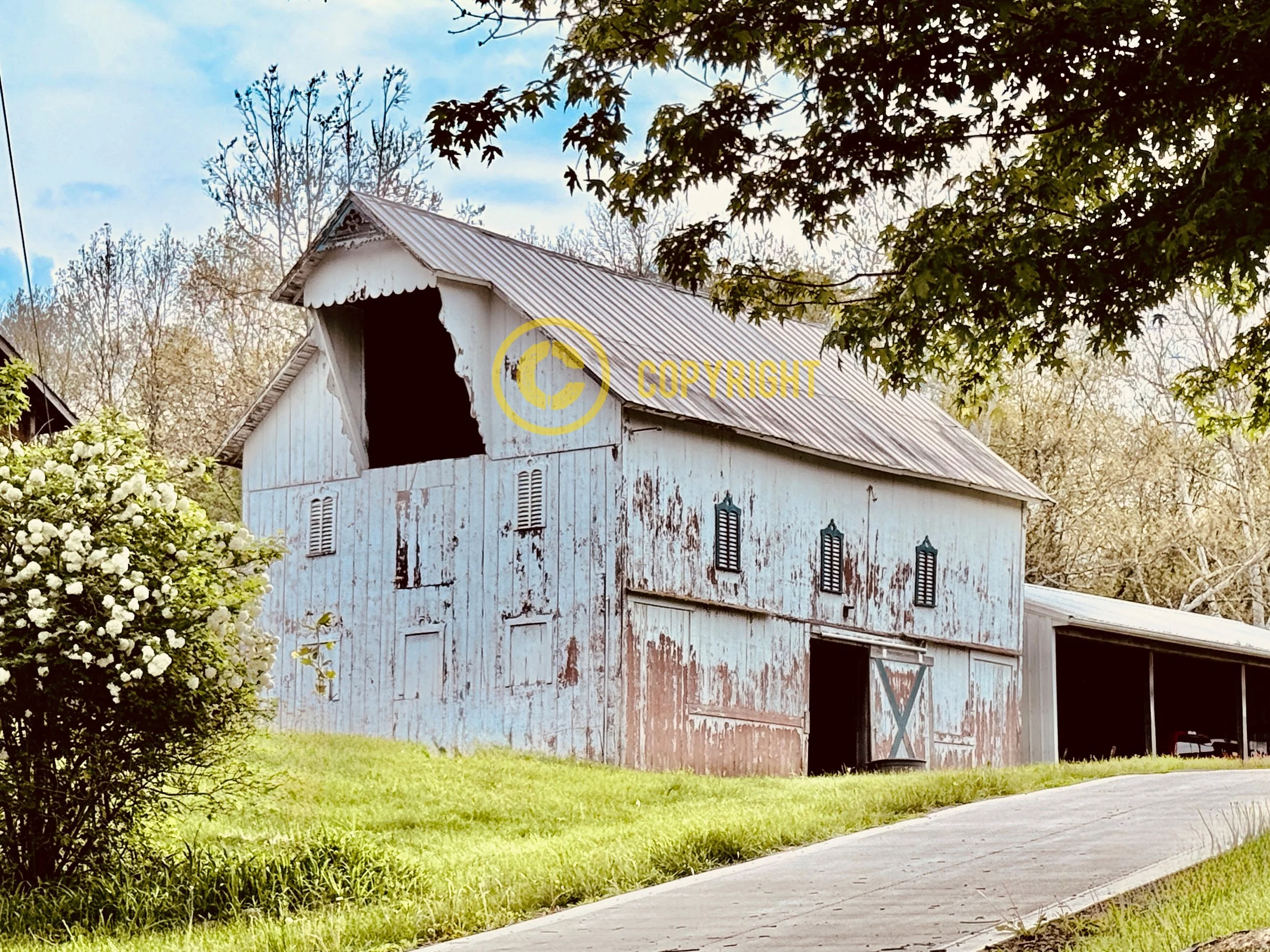 Knox County
