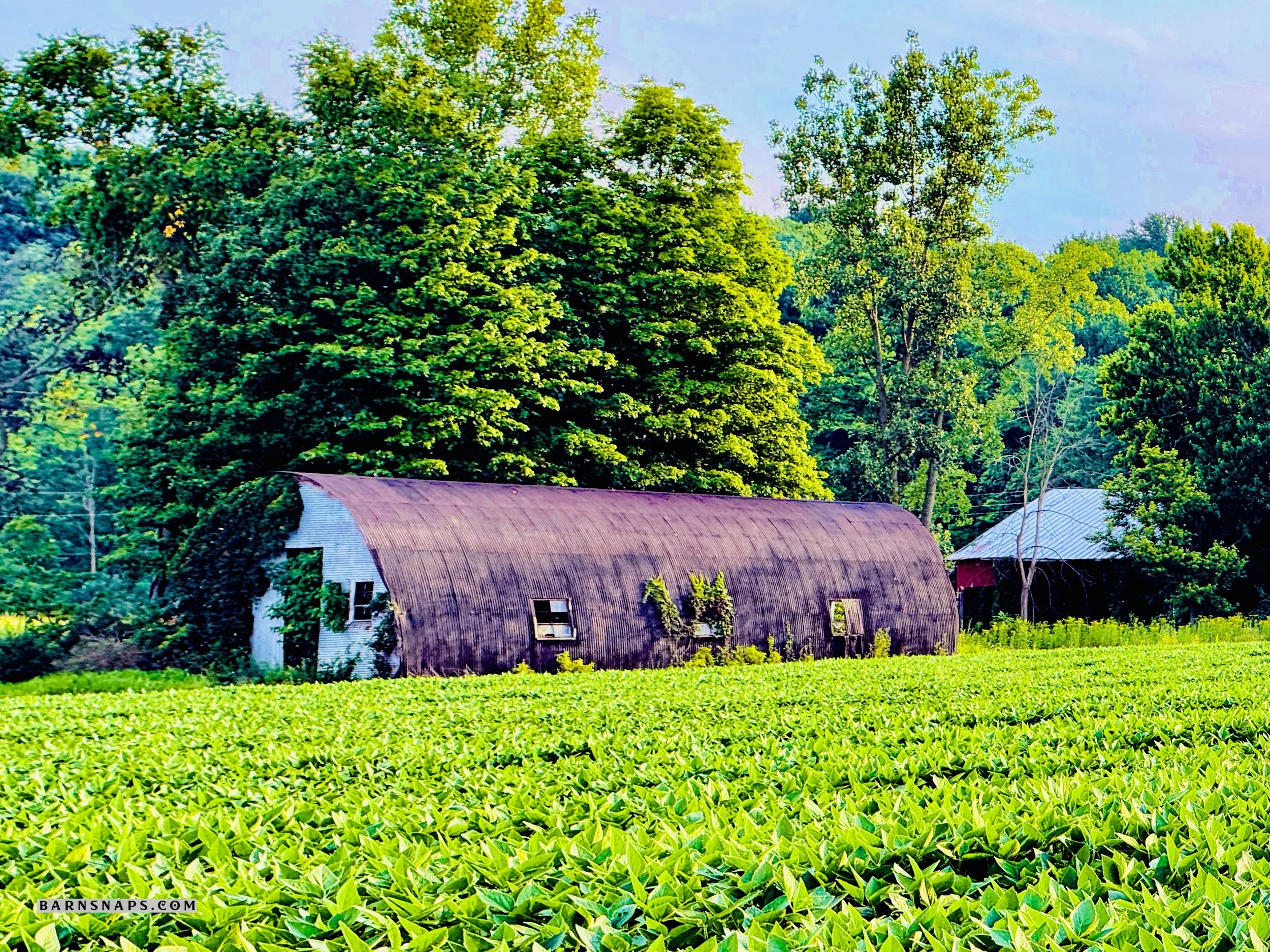 Wayne County - Sterling Road Barn