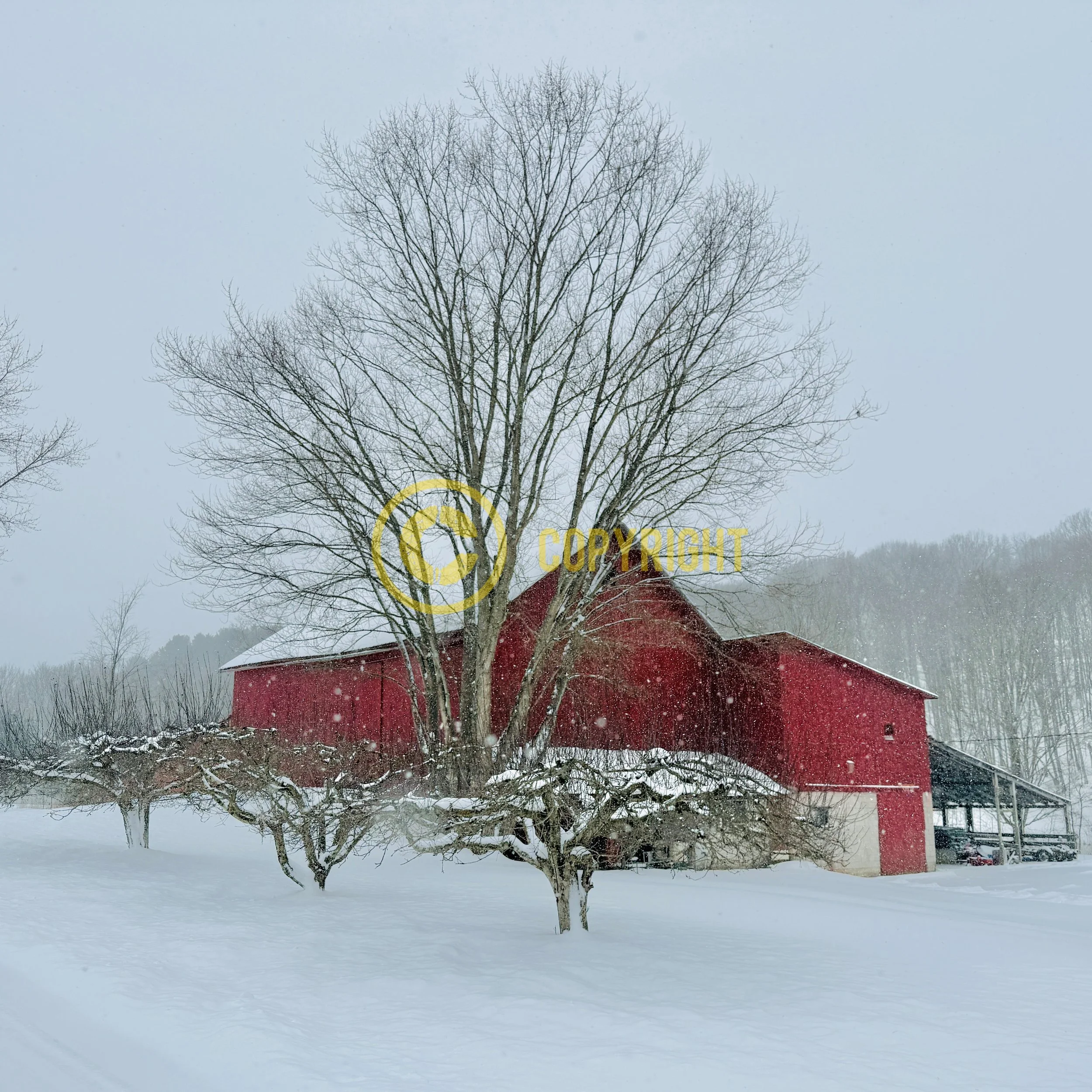 Richland County - "The Standout"