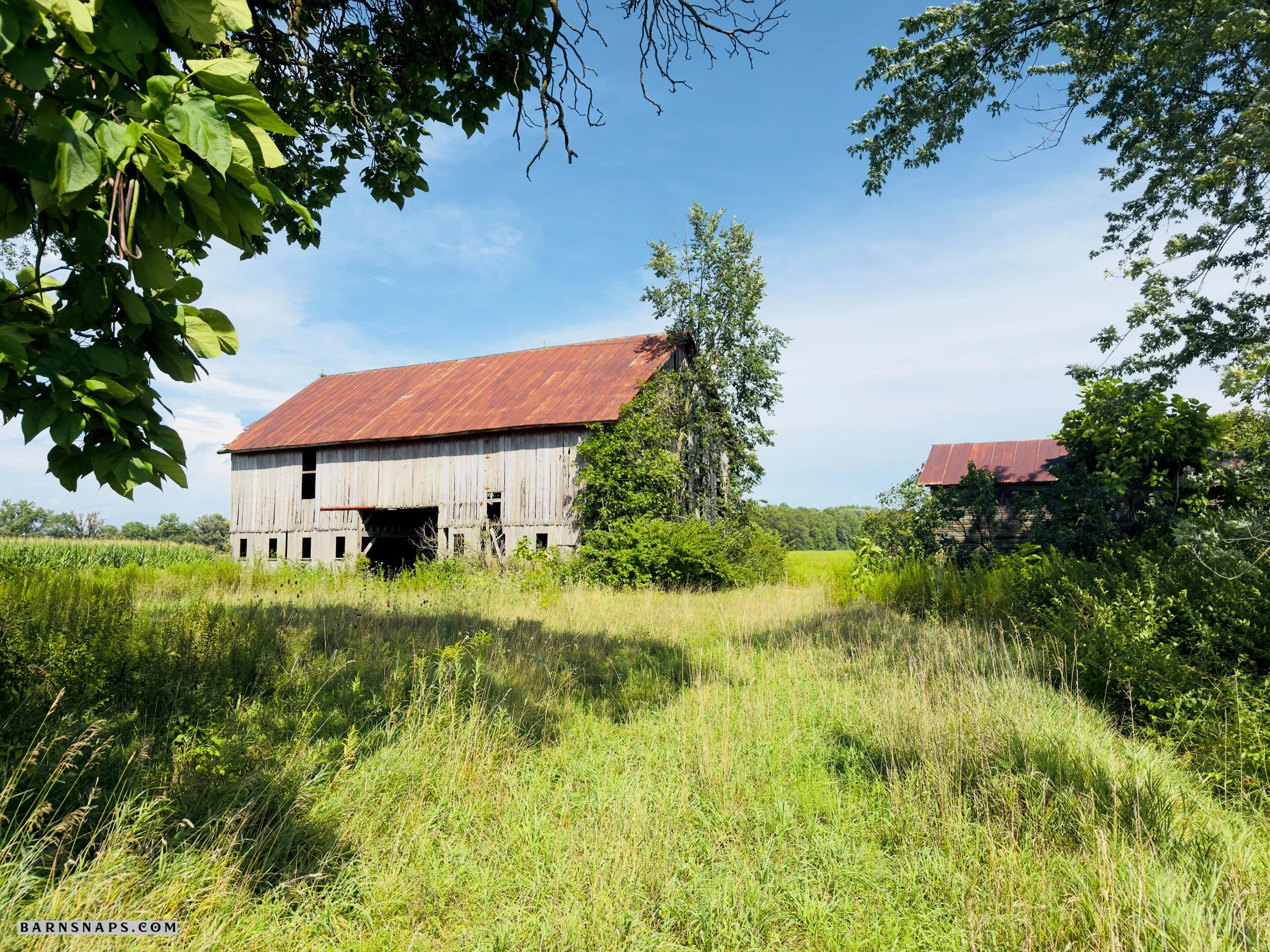 Delaware County - Section Line Road Barn