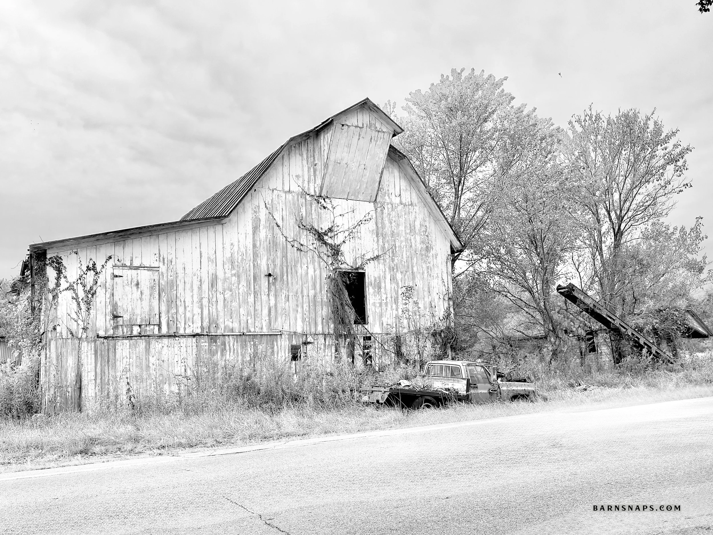 IMG_0704 4_Watermarked.jpg