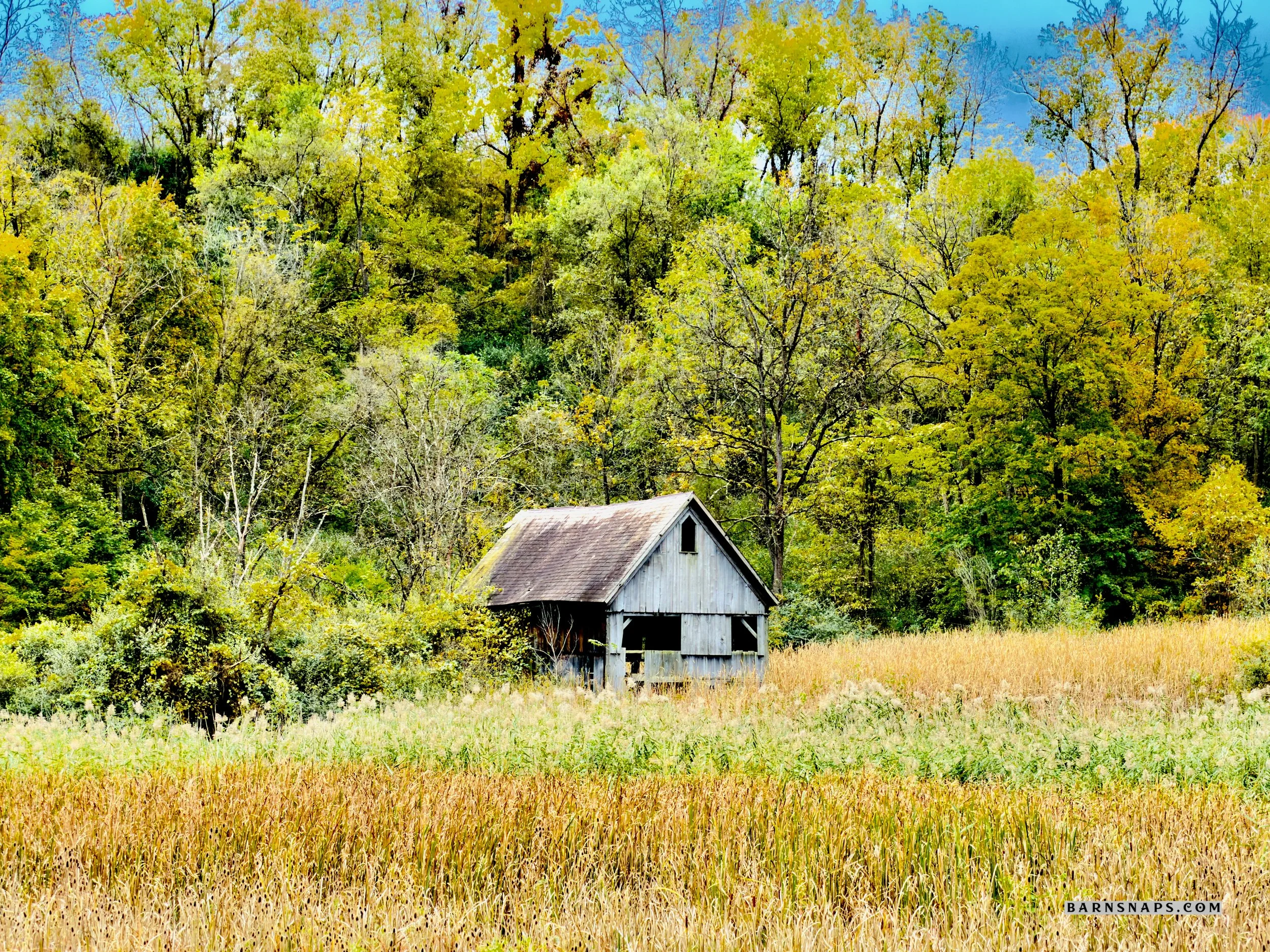 IMG_0727 2_Watermarked.jpg