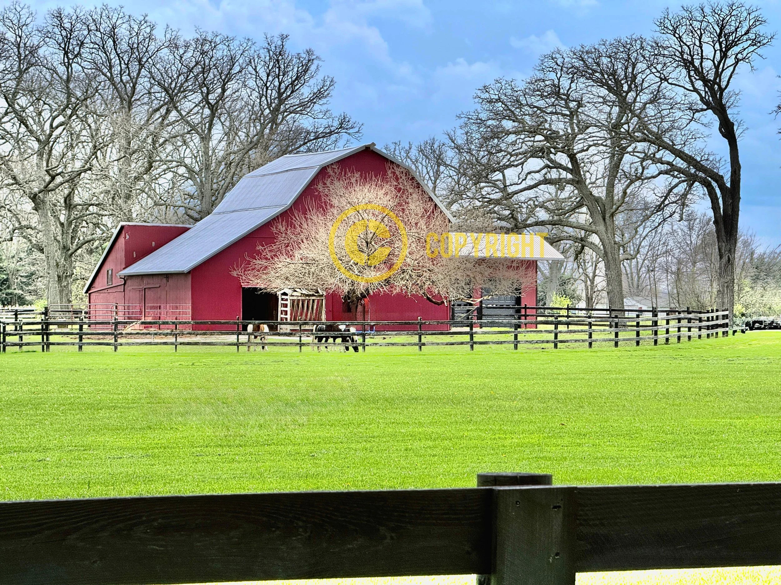 IMG_5488 1_Watermarked.jpg