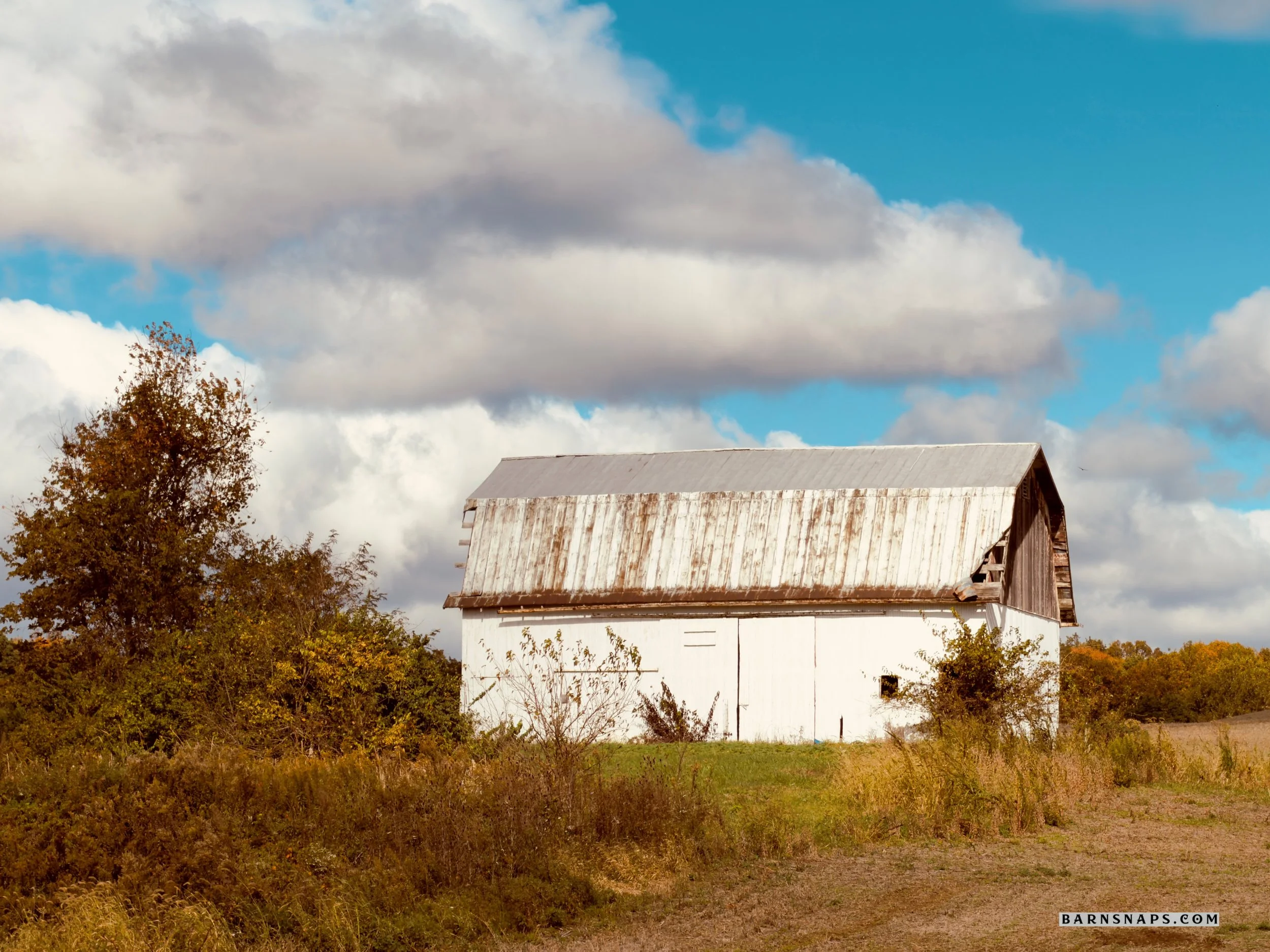 IMG_0773 1_Watermarked.jpg