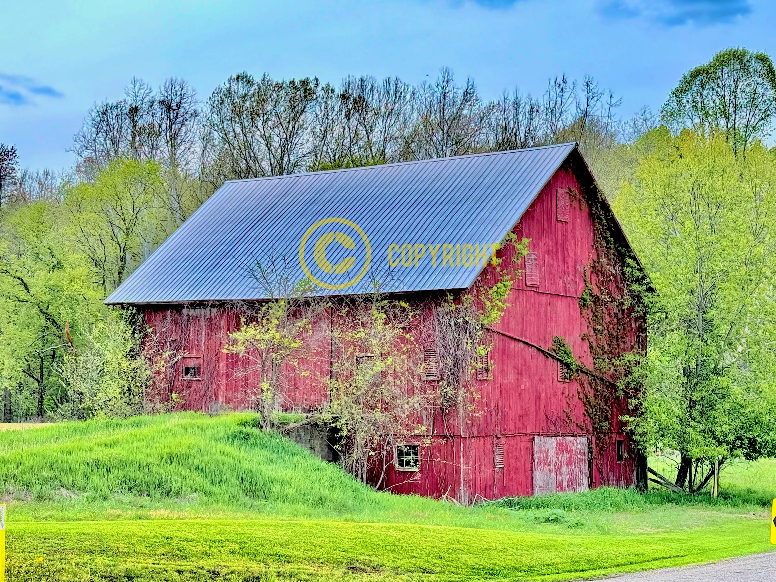 Knox County