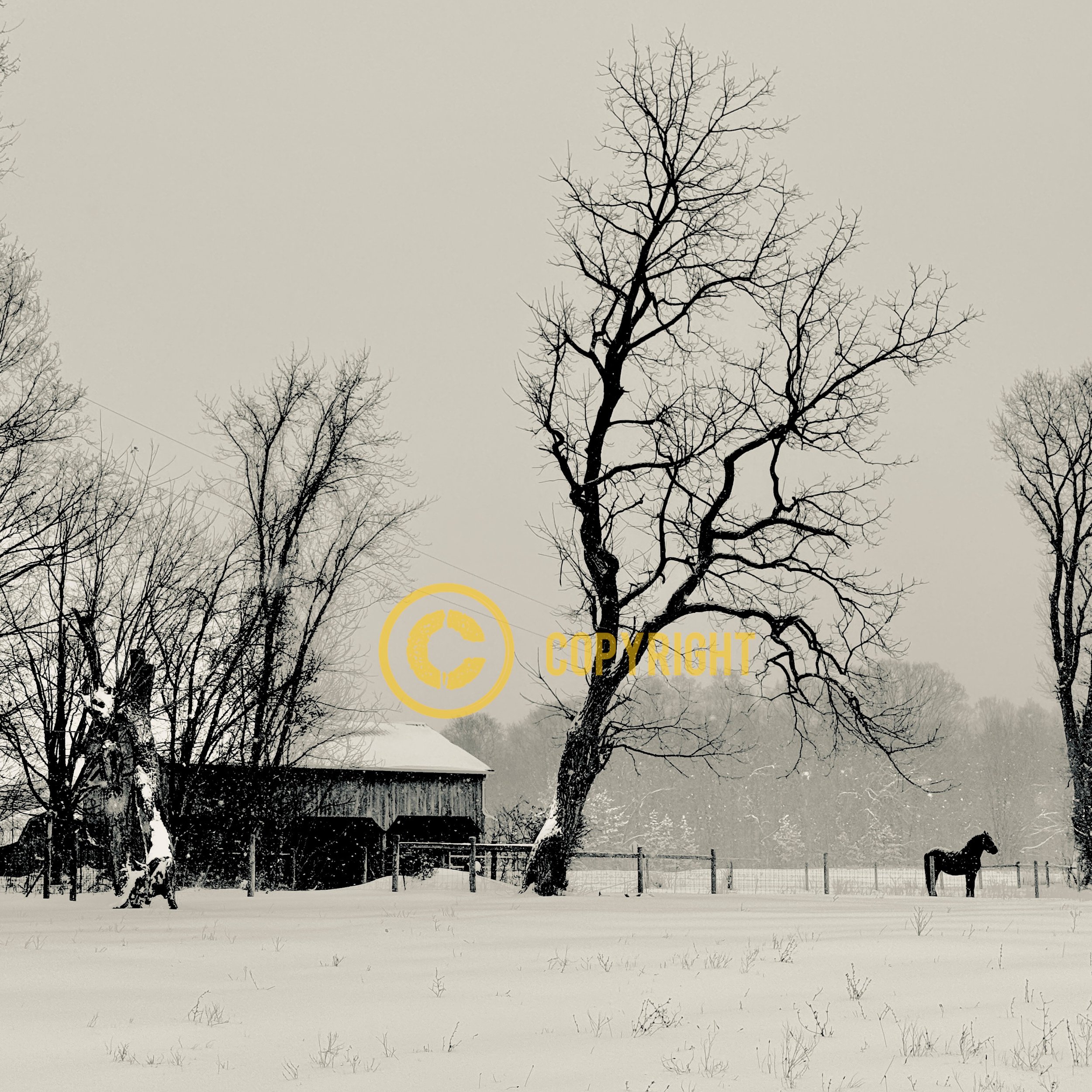 Knox County - "Solitude"