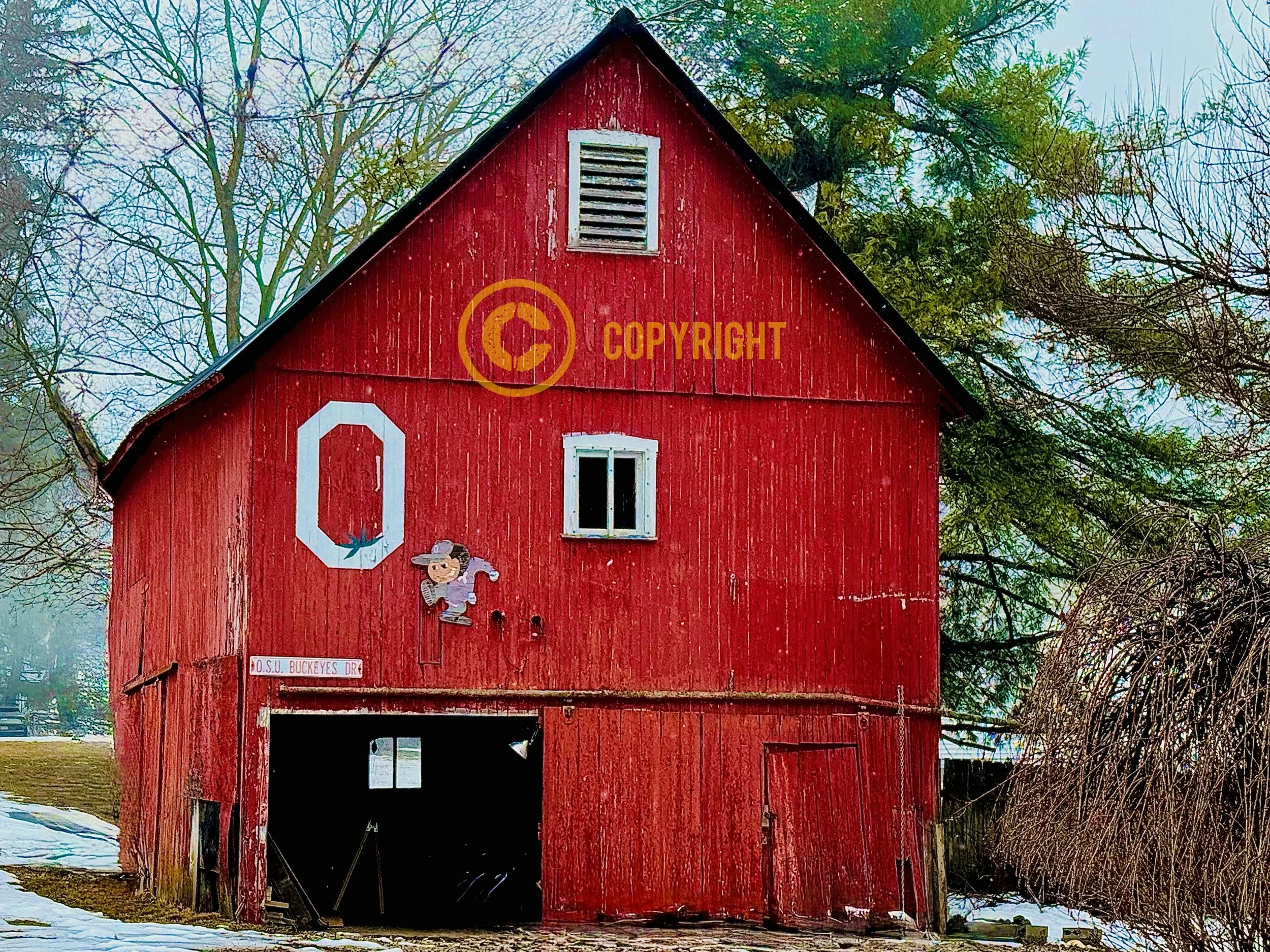 Delaware County - "OSU Buckeyes Drive"