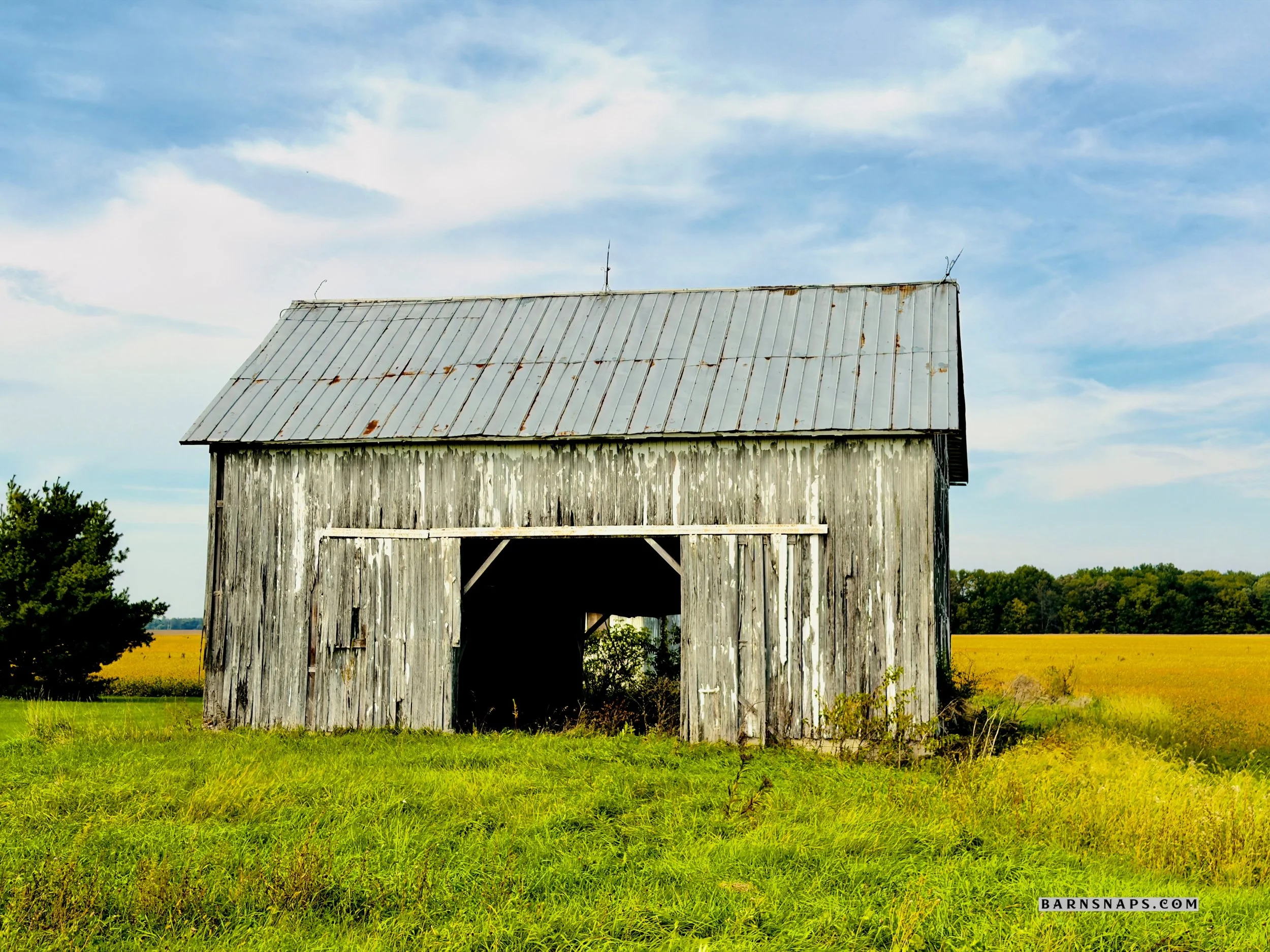 IMG_0646_Watermarked.jpg
