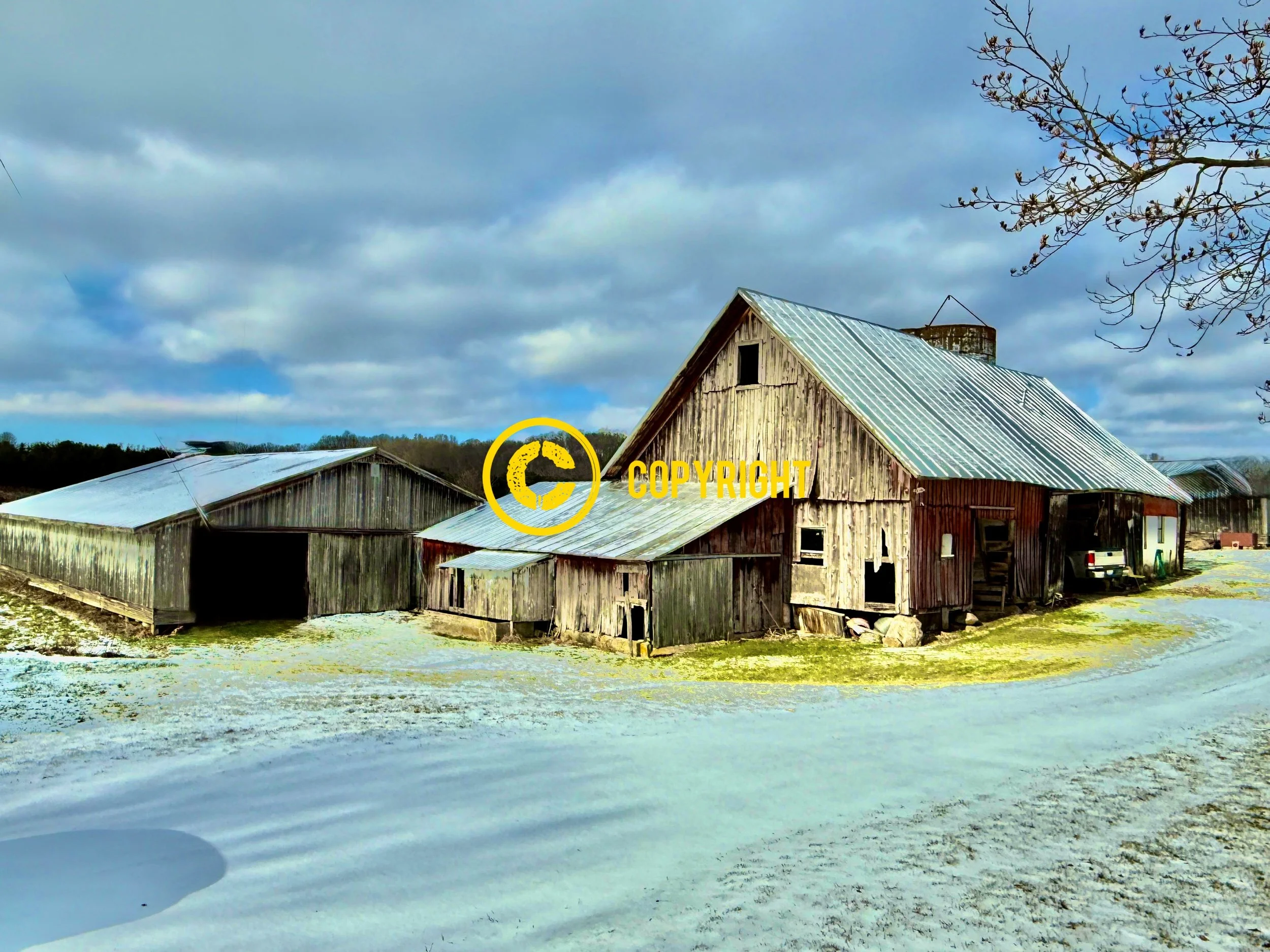 IMG_4626 1_Watermarked.jpg