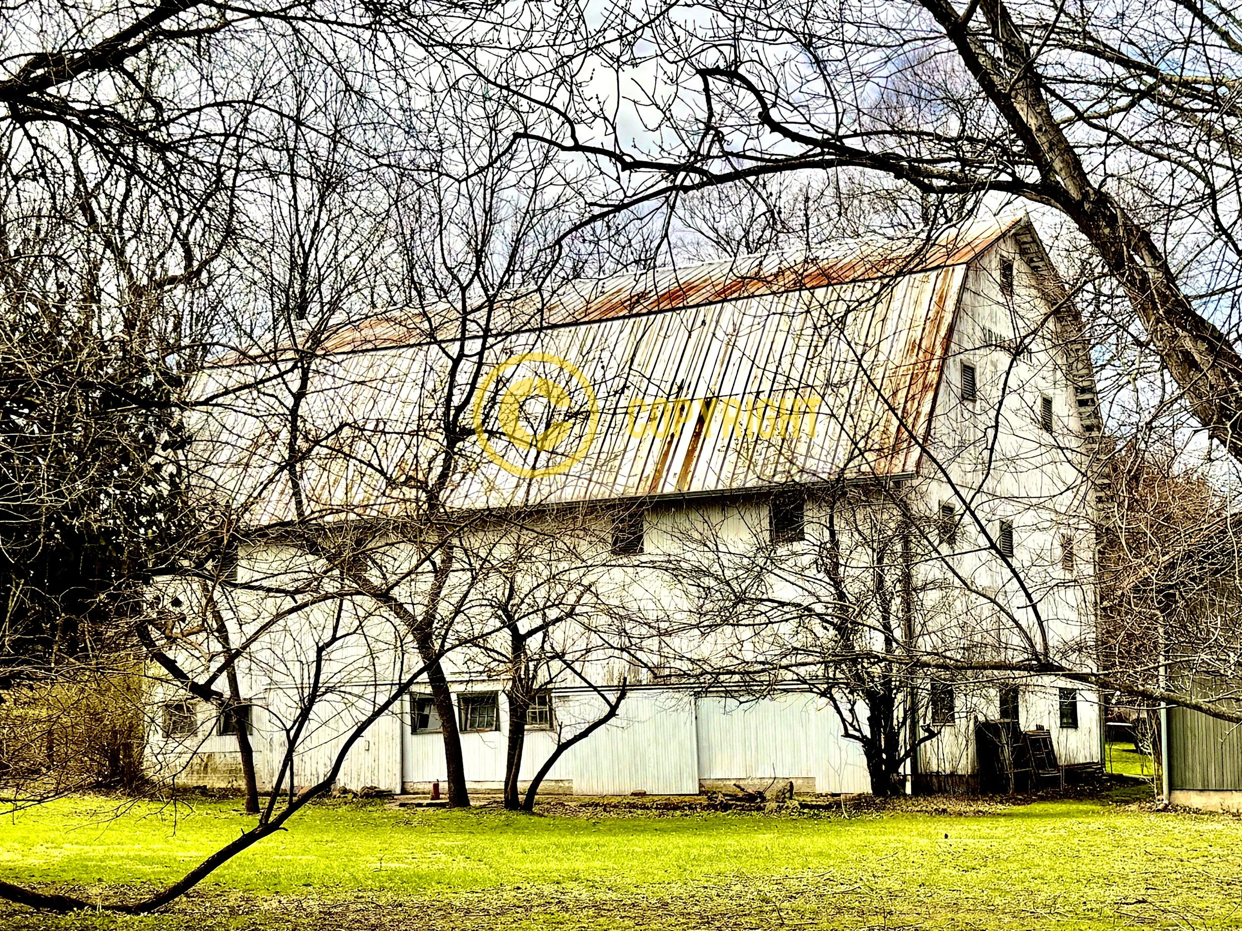 IMG_5297 1_Watermarked.jpg