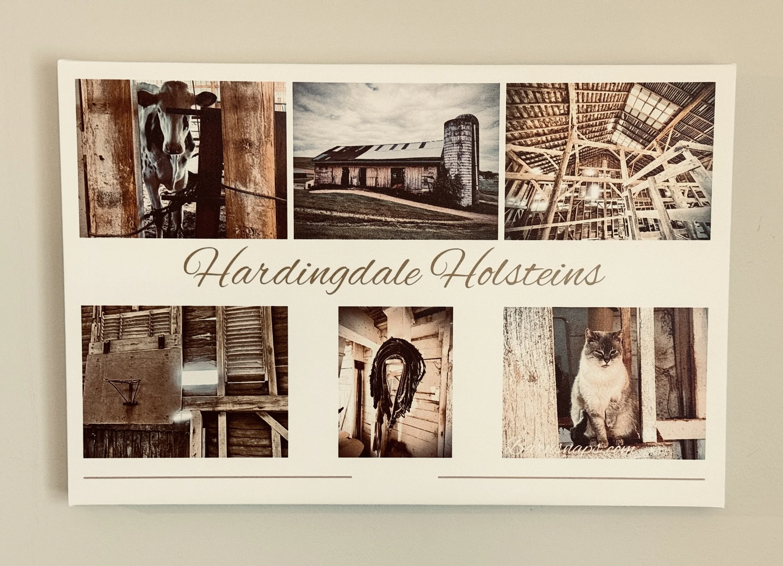 16”x 24” Custom Canvas Collage