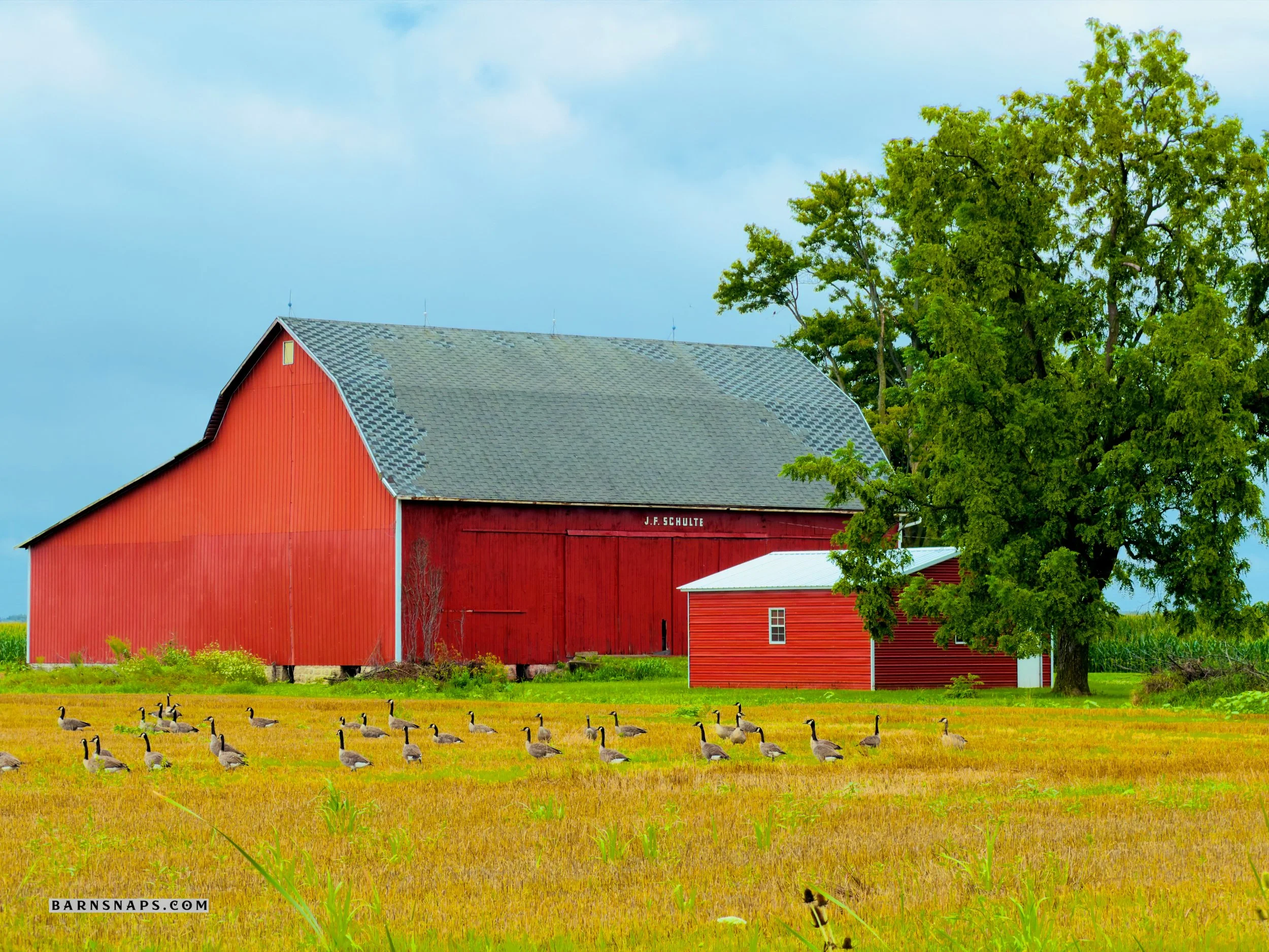 Wood County - J.F. Schulte Barn