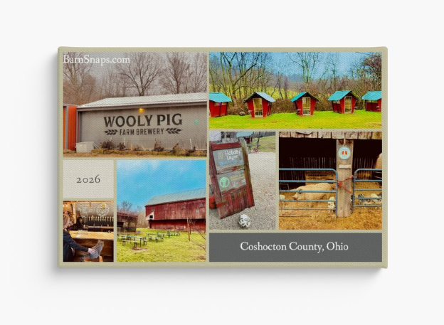 Collage of photos from Coshocton County, Ohio, including a brewery sign, fields and farm buildings, colorful cabins, a person sitting at a table, and a pig in an enclosure.