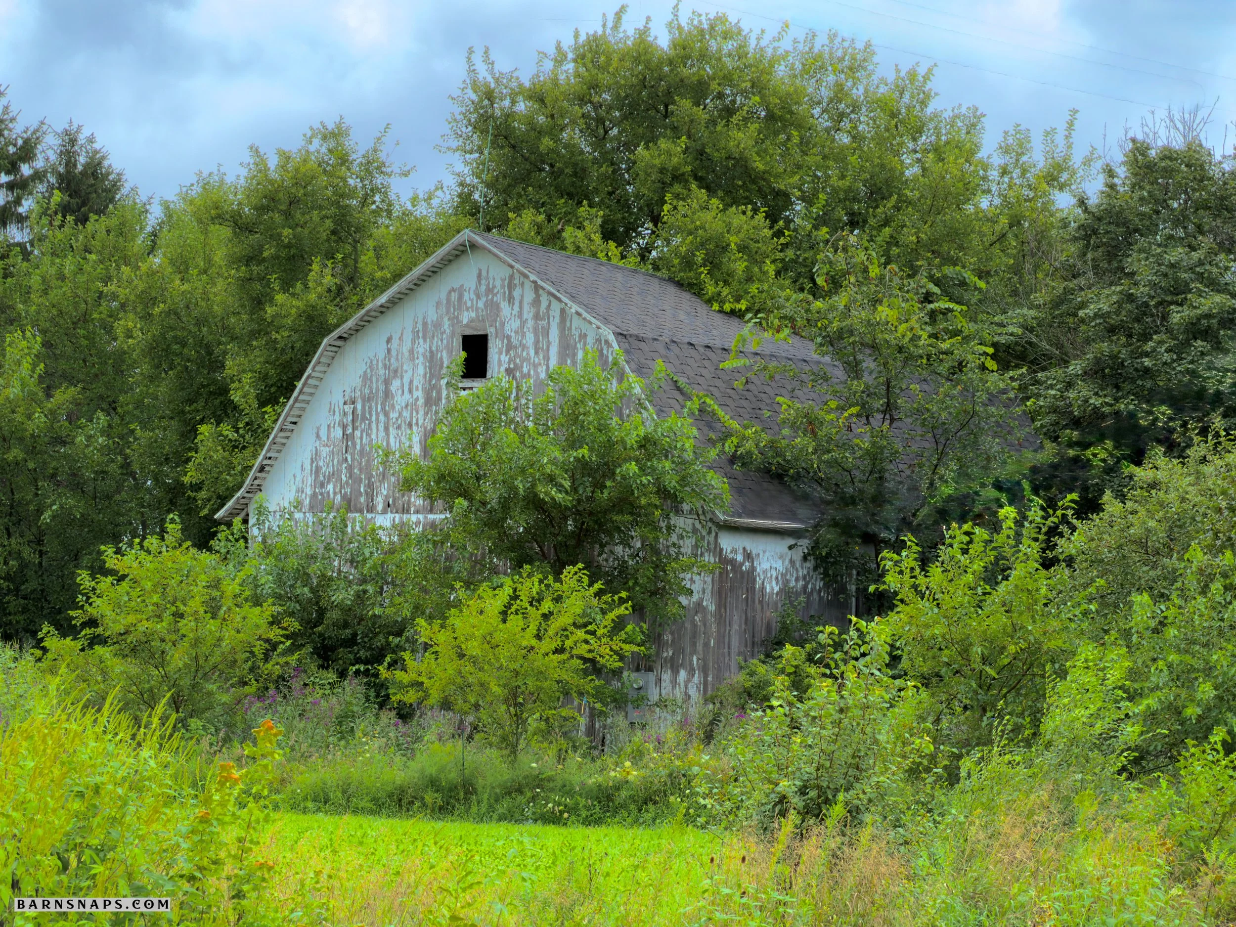 Wood County - Wagoner and Broadway Road Barn