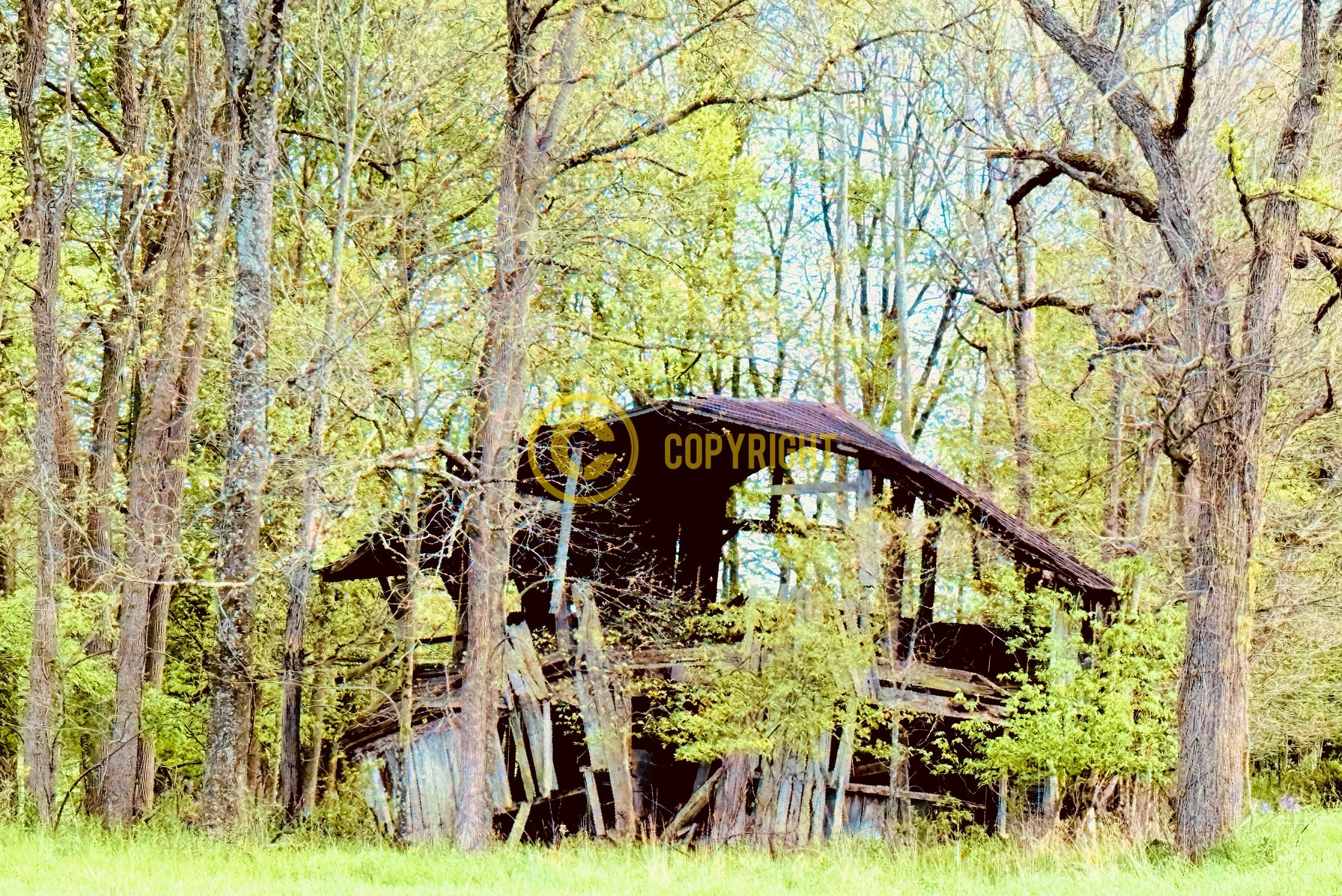 Knox County
