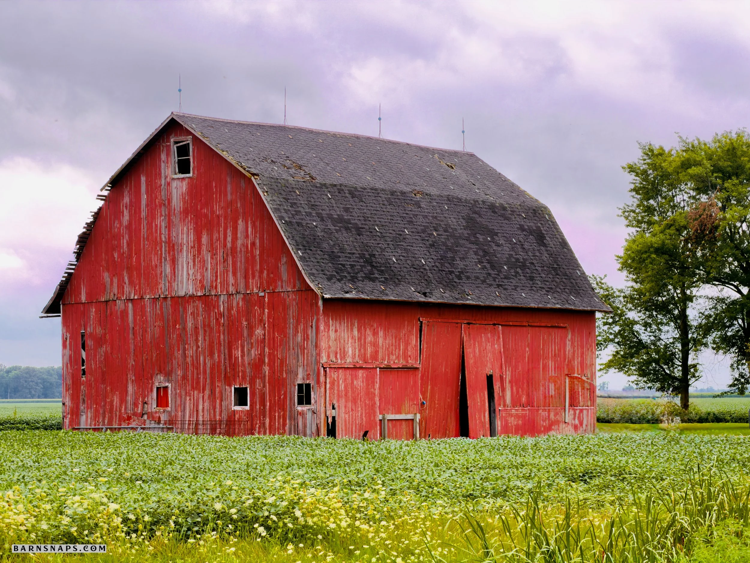 Wood County - Middleton Pike Barn
