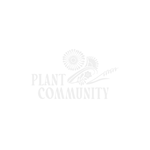 Logo of Plant Community with a stylized flower and plant illustration.