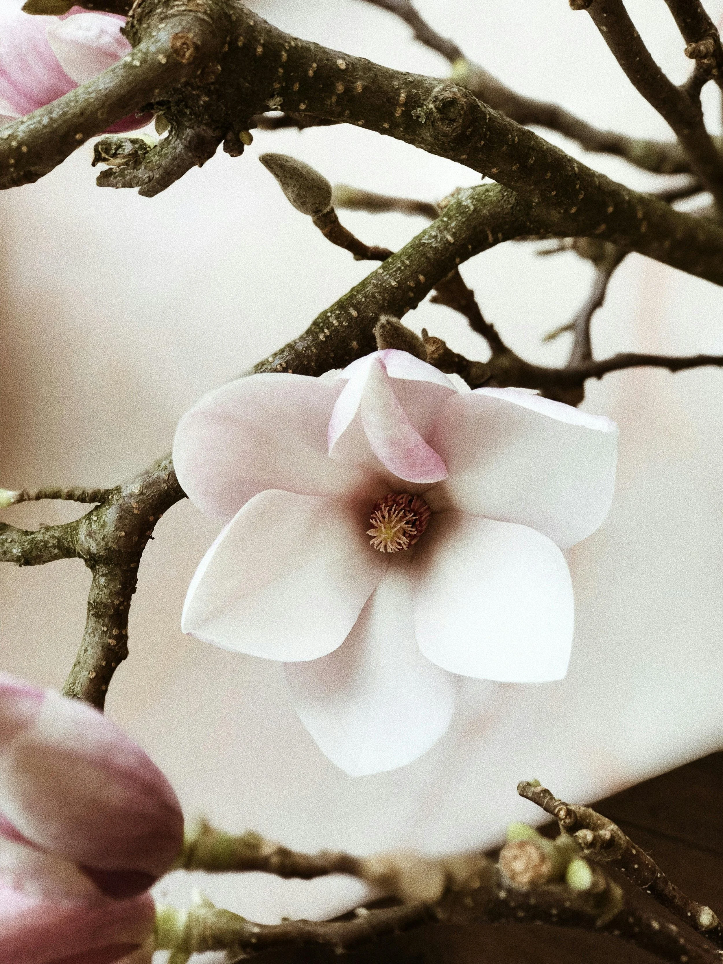 Letting Go of Guilt — It Was Never Your Fault