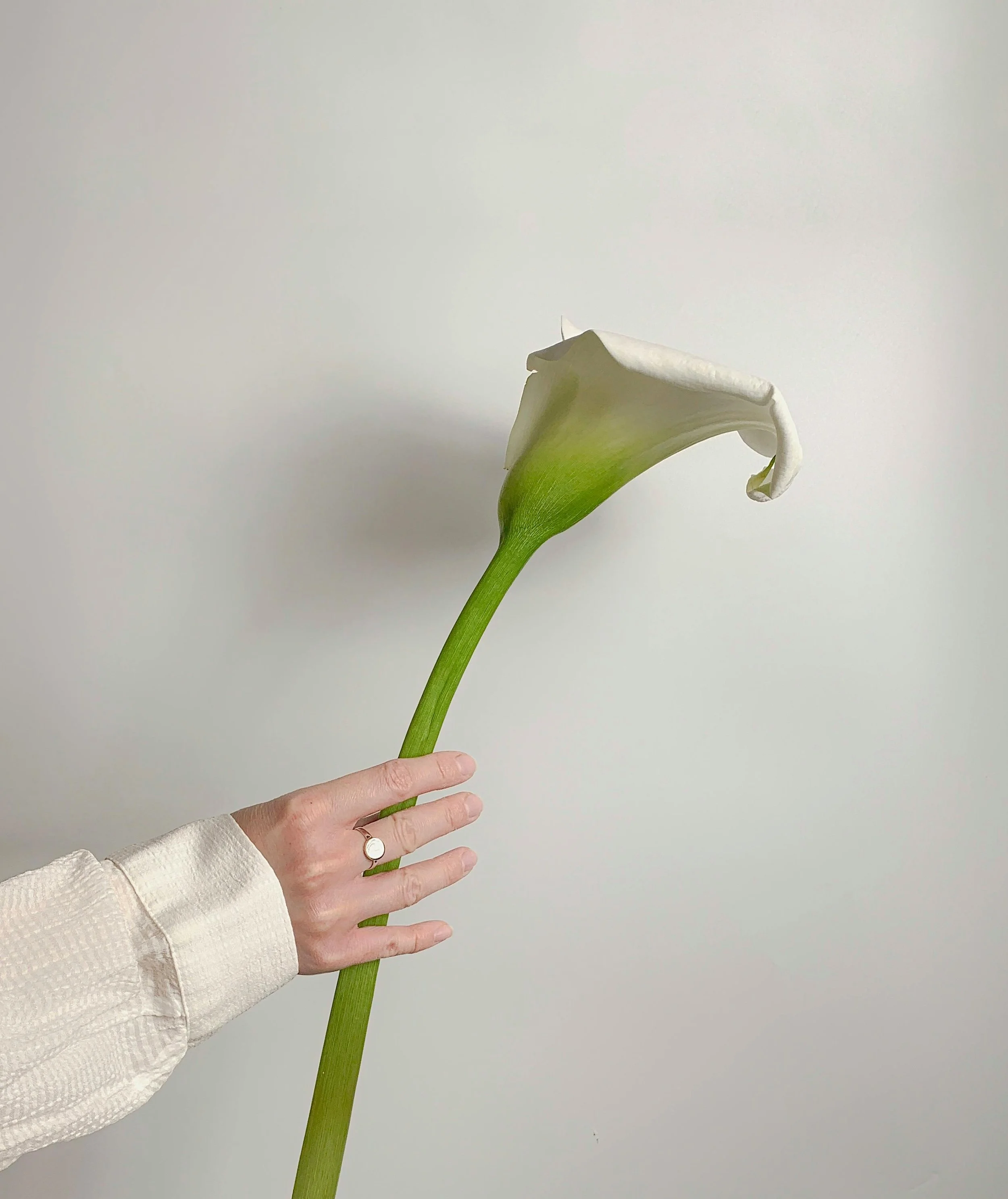 4-Week Intensive Healing Journey