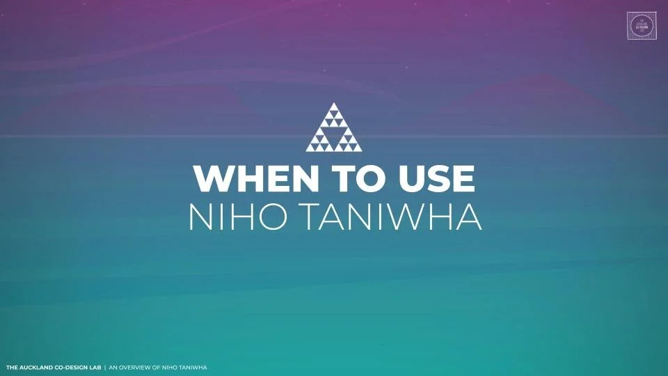 Niho Taniwha Overview_2026 Final.pptx (19).jpg