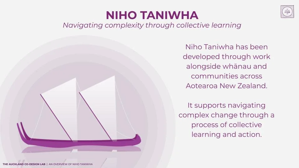 Niho Taniwha Overview_2026 Final.pptx (4).jpg